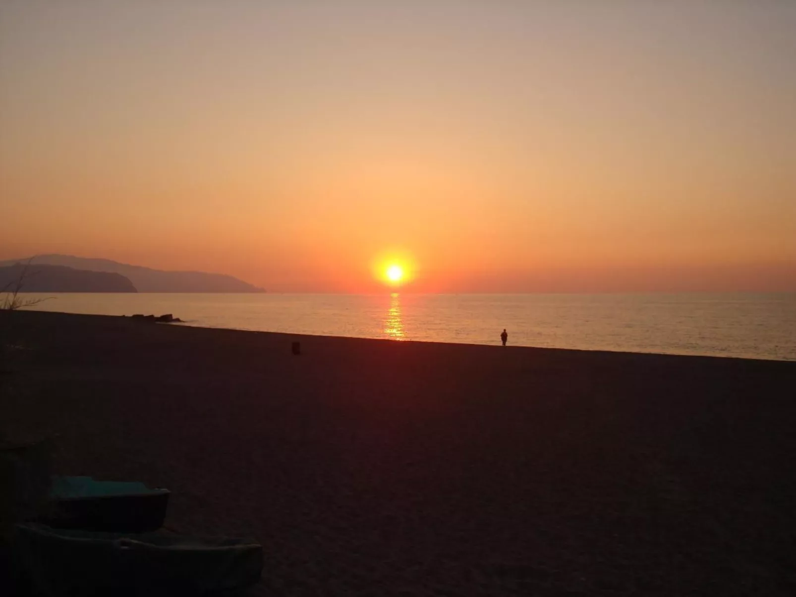 Seestern-Image-tags.info