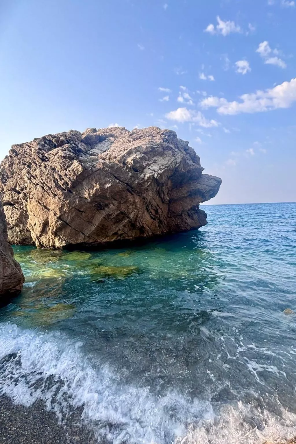 'The Garden-Image-tags.info