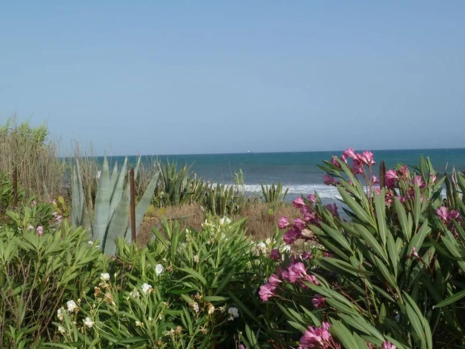 Villa Matilde: Kleine Ferienwohnung mit Meerblick-Buiten