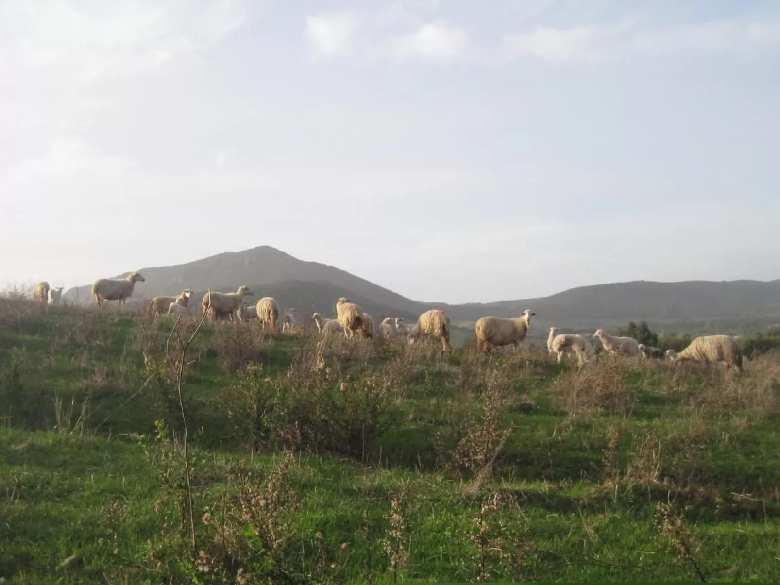 Su Sole de Barega-Image-tags.info