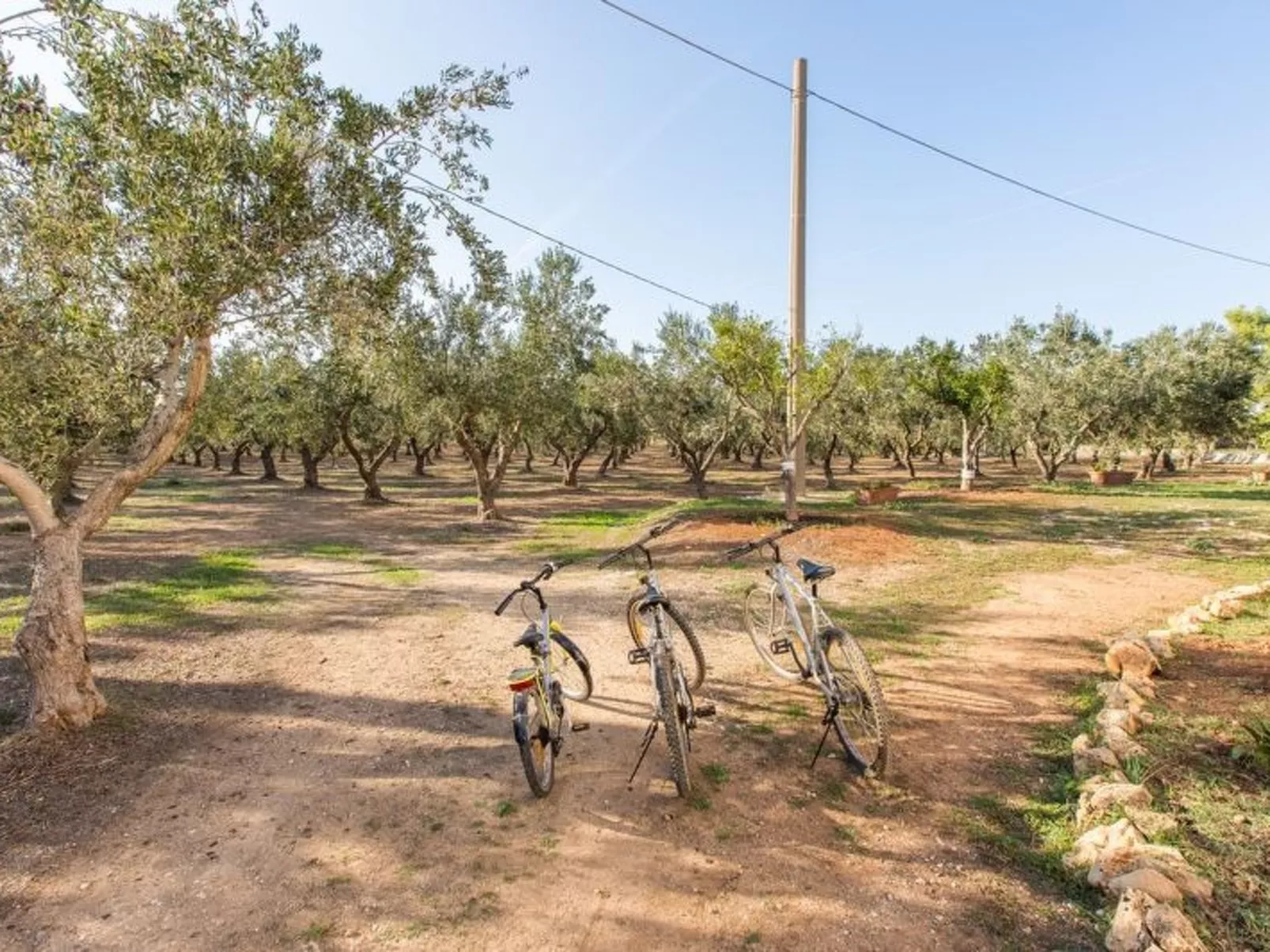 Trullo für Ferien in Apulien-Image-tags.info