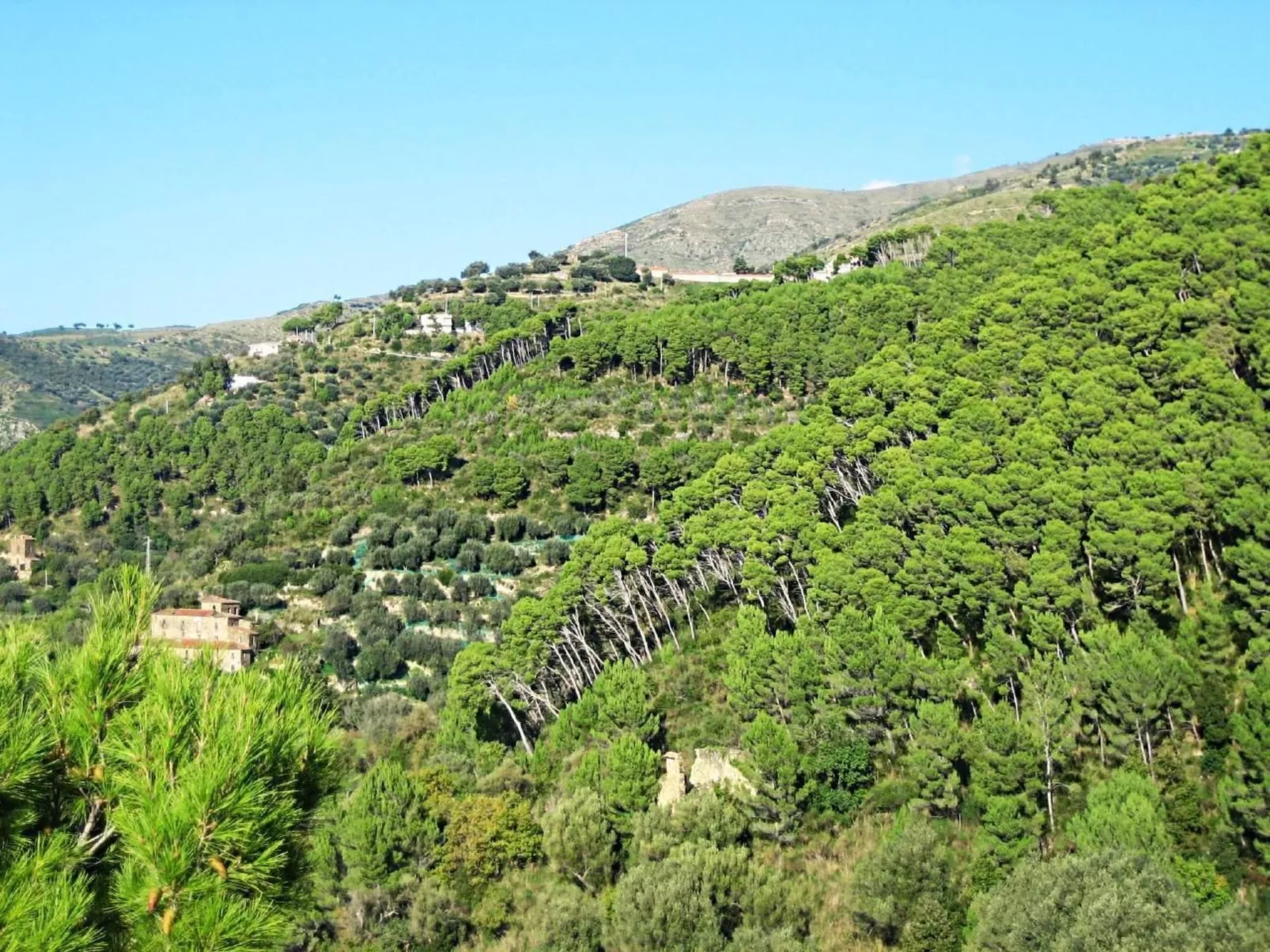 Top Ferienwohnung-Image-tags.info