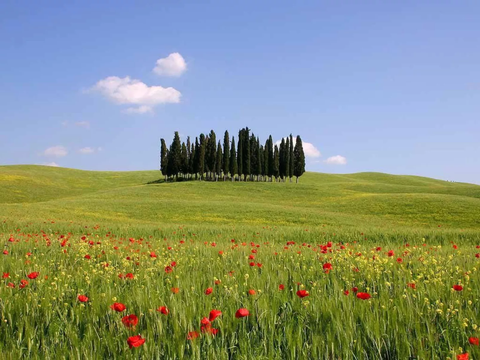 Ferienappartement mit Garten und Panoramablick-Buiten