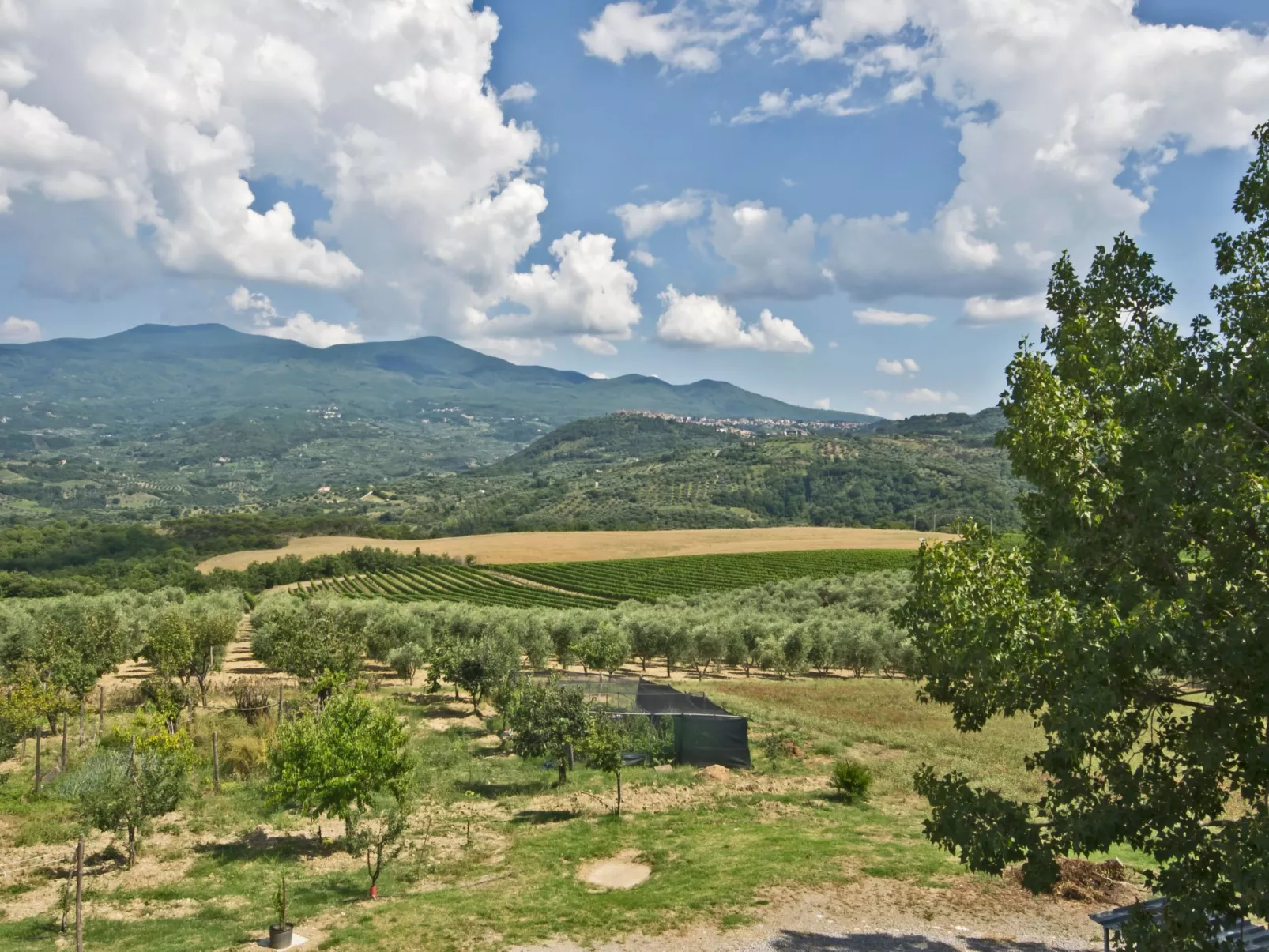 'Villa RosaSpina-Buiten