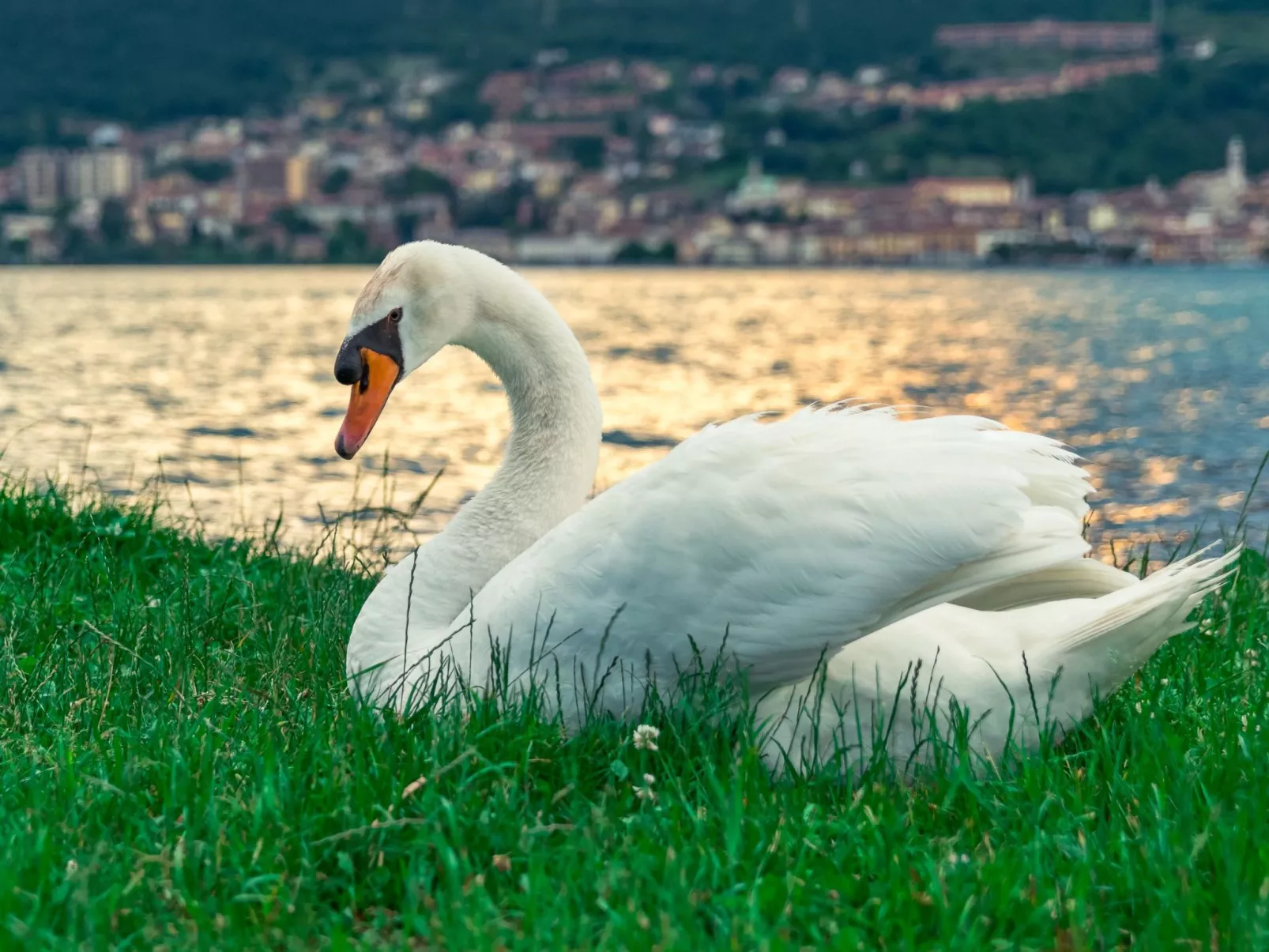 Studio-Apartment mit Balkon mit Seeblick und Zugang zum Garten-Buiten