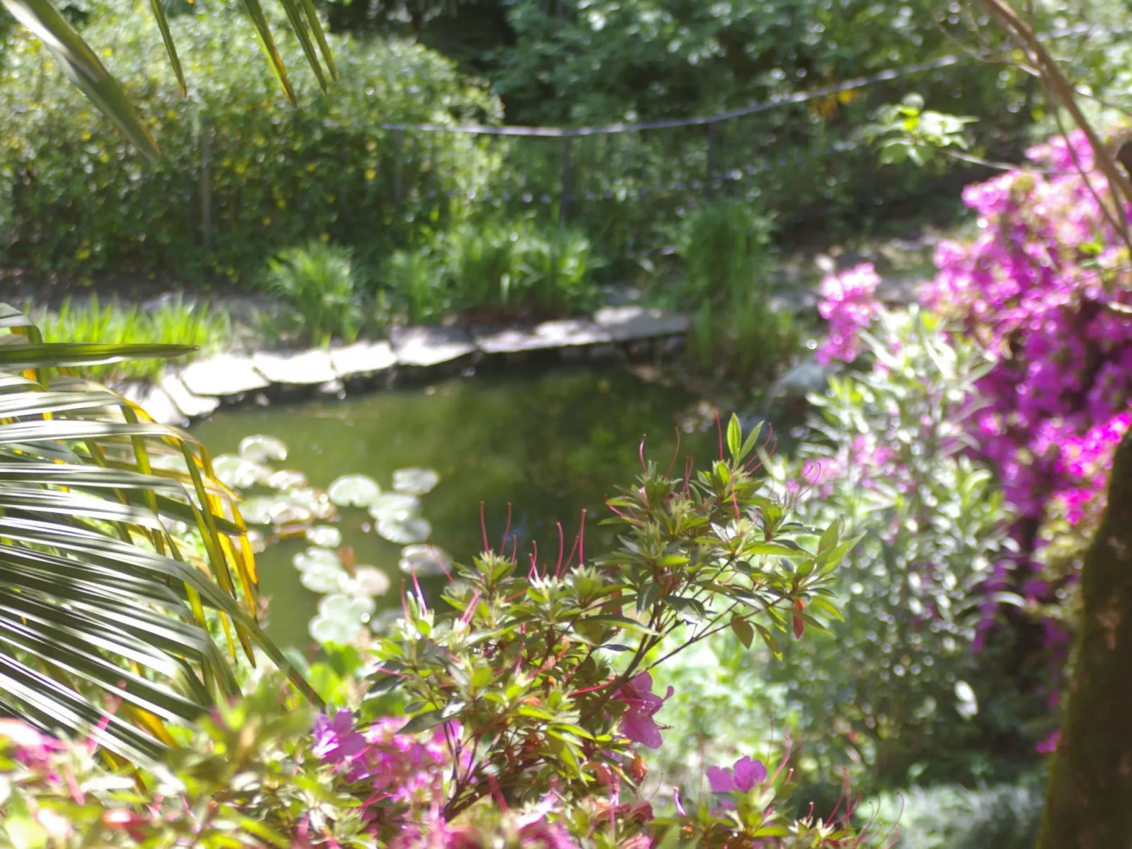 Vecchia Scuderia-Buiten