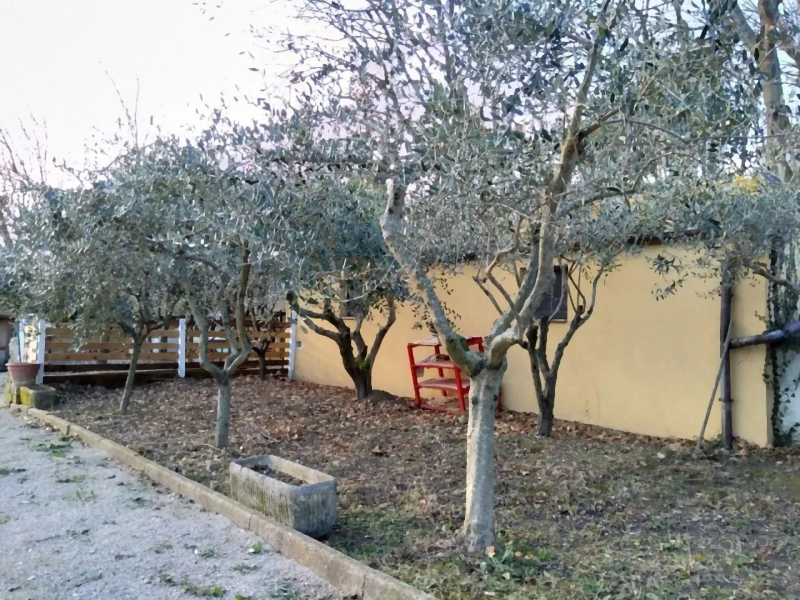 Studio  BUBO  - Pool - Ausblick- Kunst-Buiten