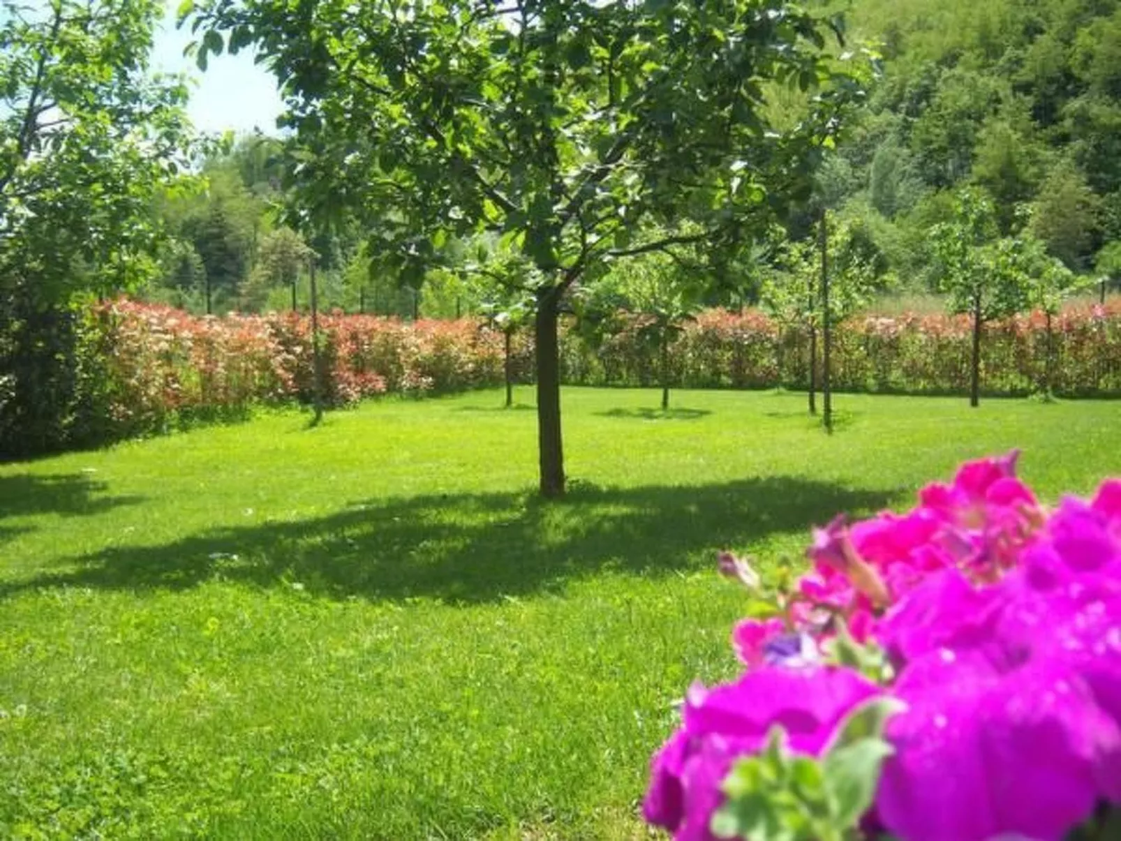 Villa Natura in Gallicano-Buiten