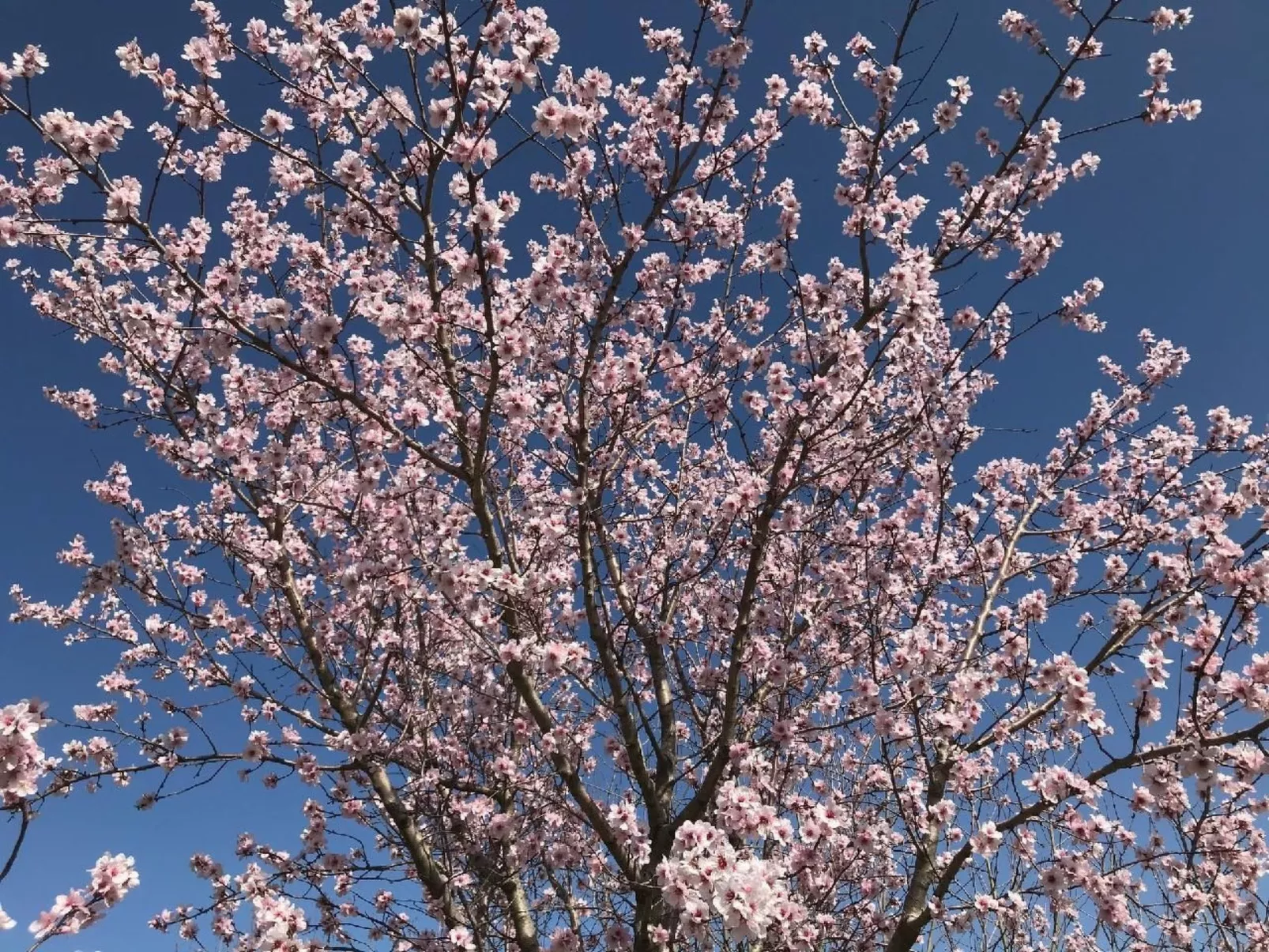  Il Podere La Regina mit privatem Pool-Buiten