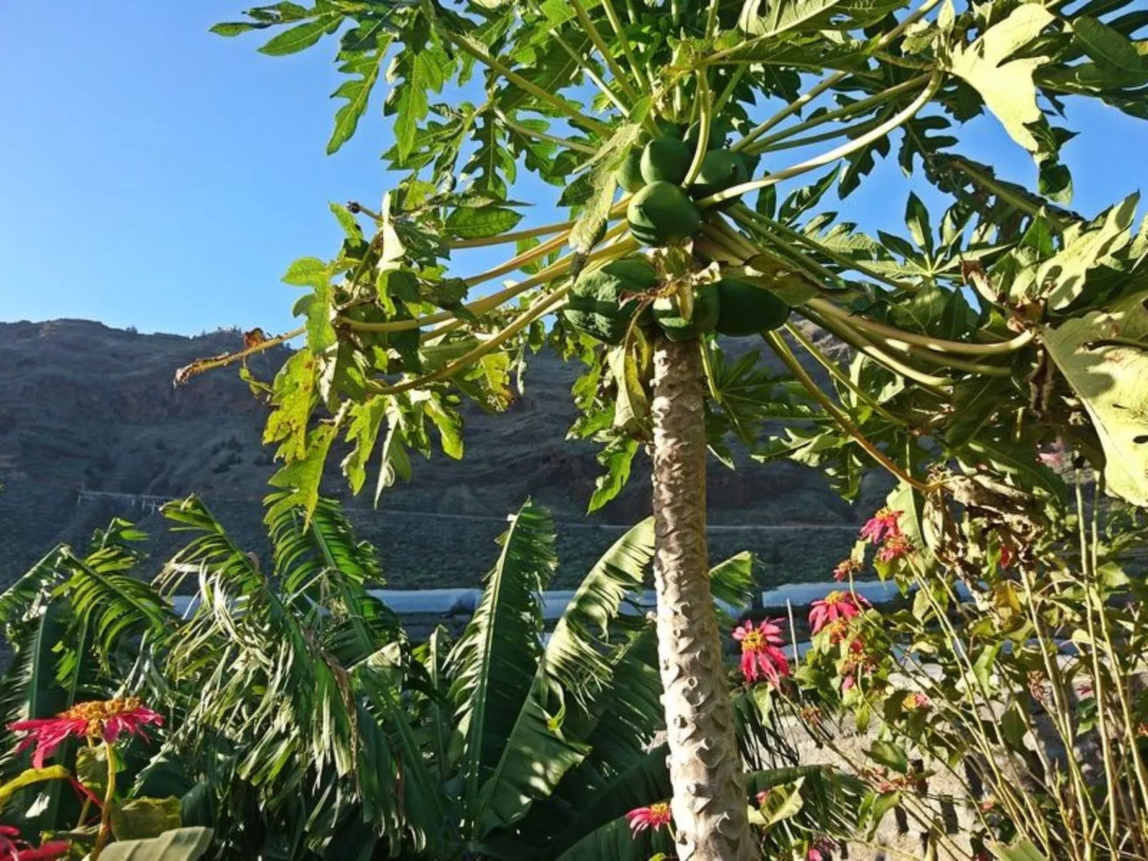 Haus Vista Caldera - Image-tags.info