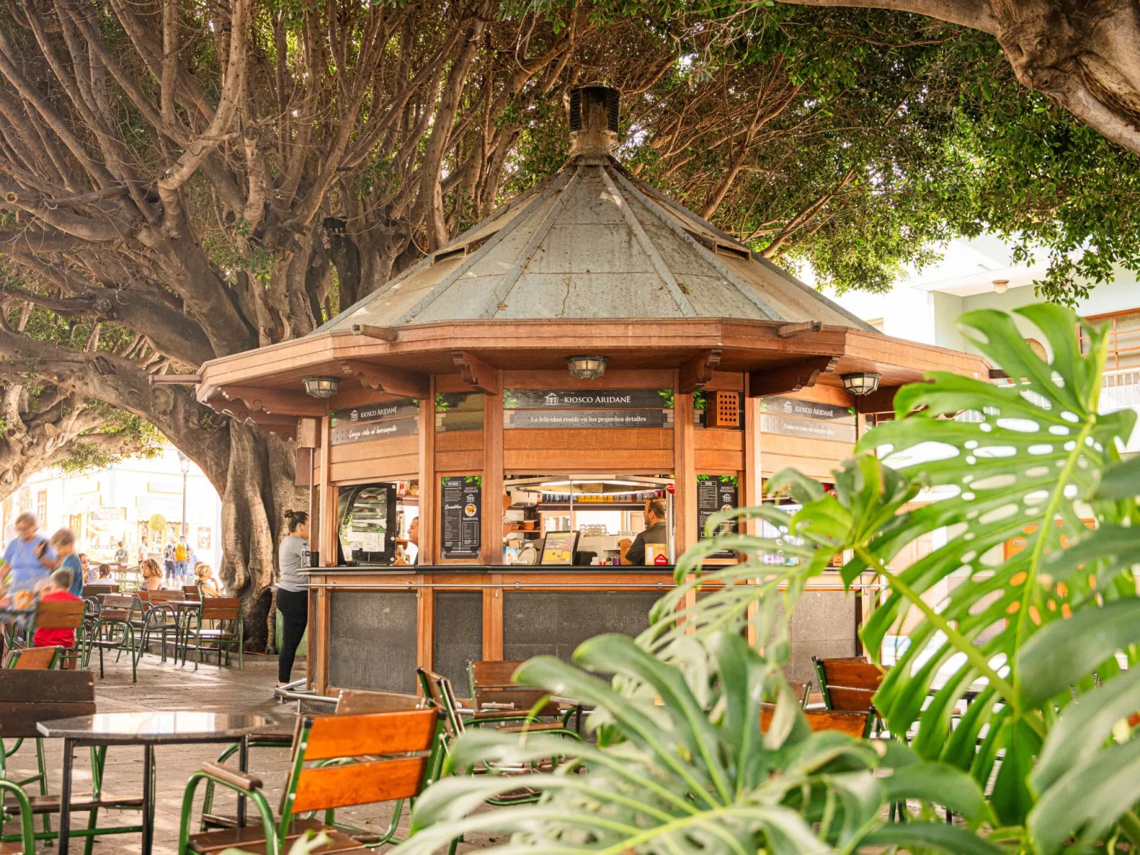 CHL La Placeta, Haus in Los Llanos de Aridane-Image-tags.info