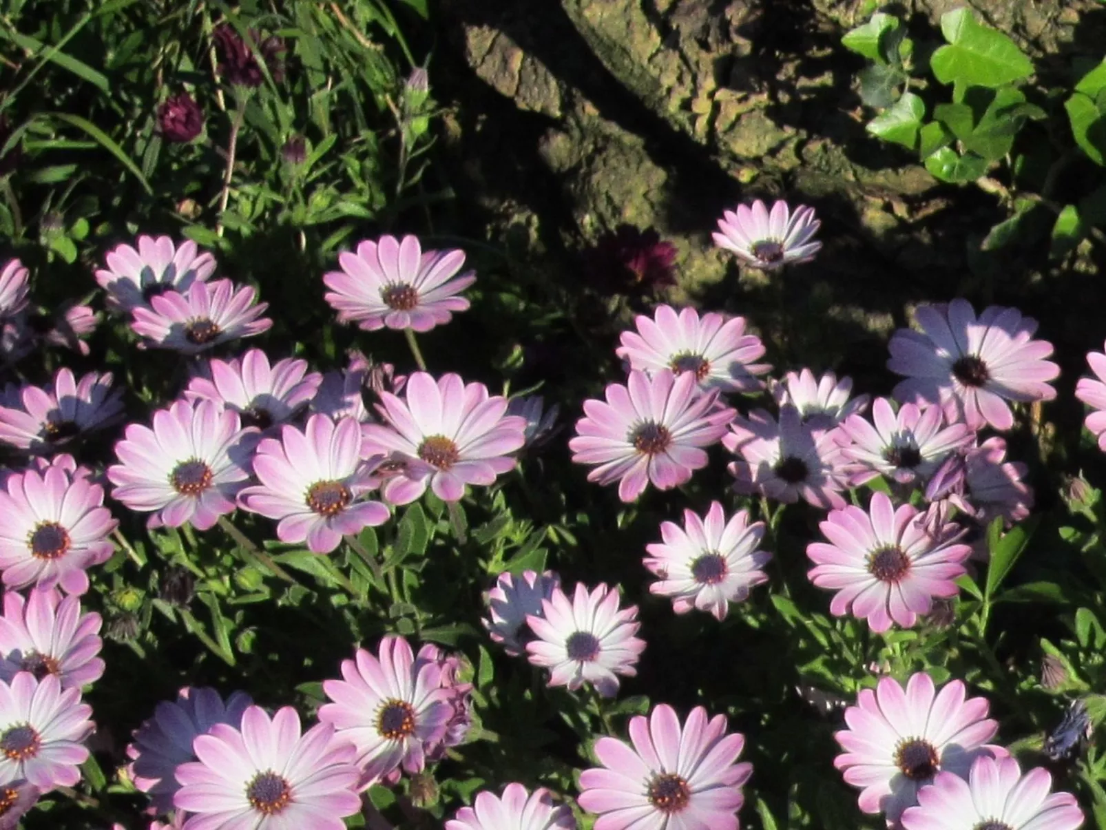 Wohnung mit Wasserblick-Image-tags.info