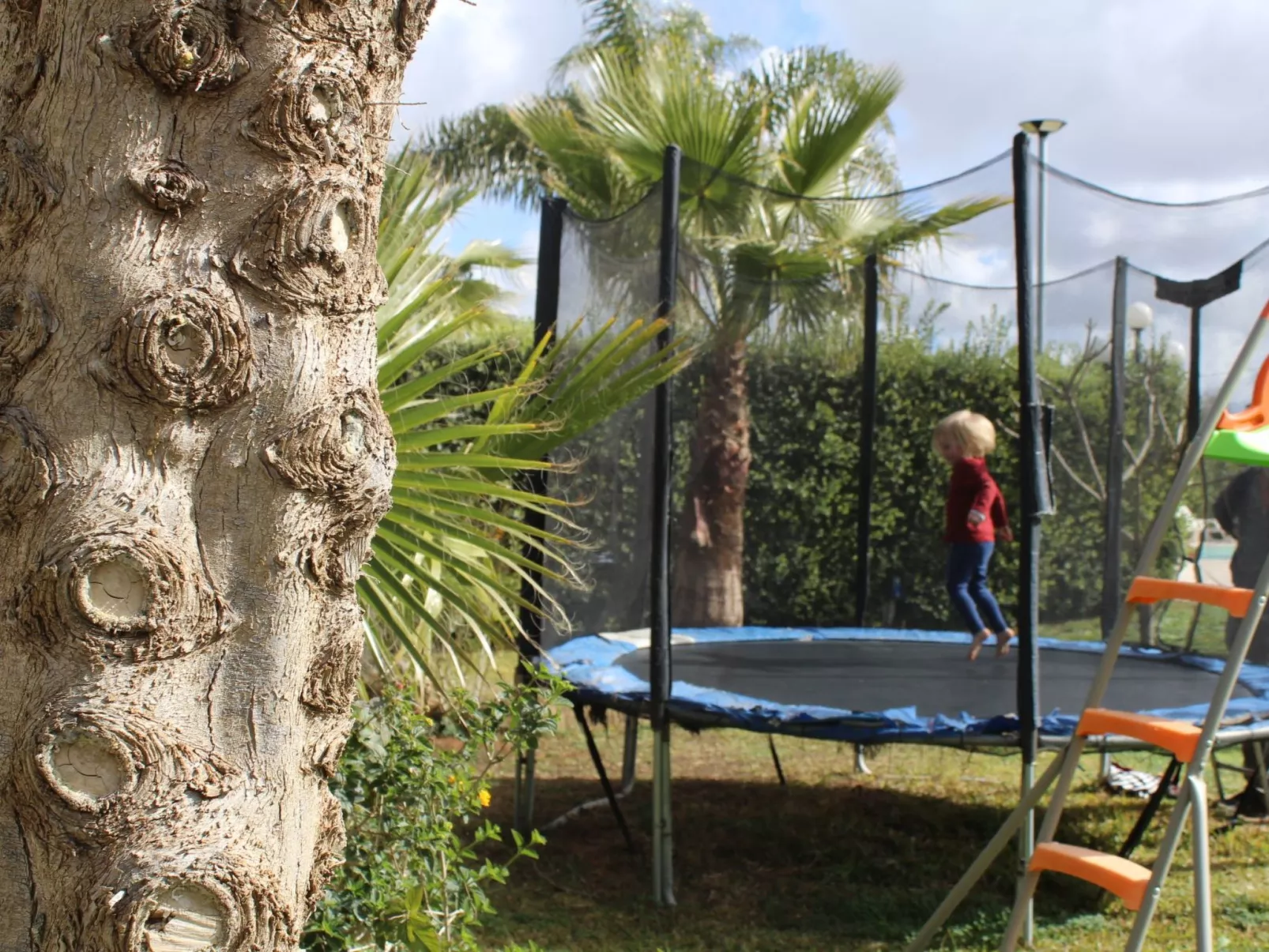 Wohnung-Image-tags.info