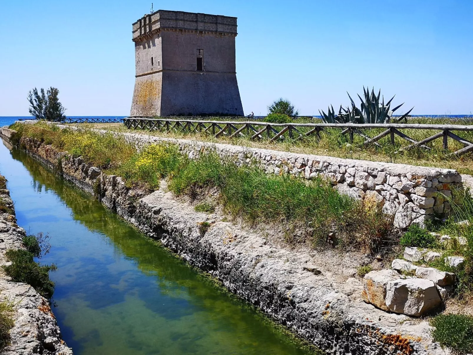 Suite Garden Plus-Image-tags.info