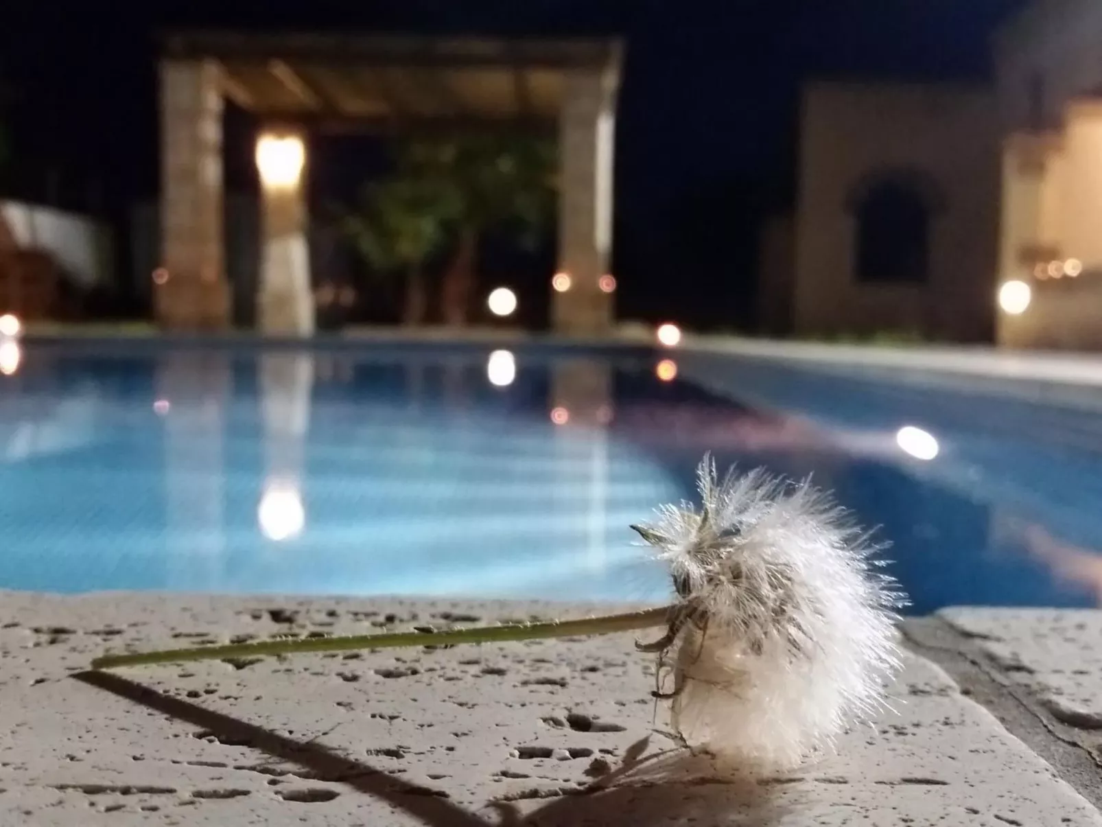 Gemütliche Ferienwohnung in Sogliano Cavour mit Terrasse, gemeinsamem Pool und-Buiten