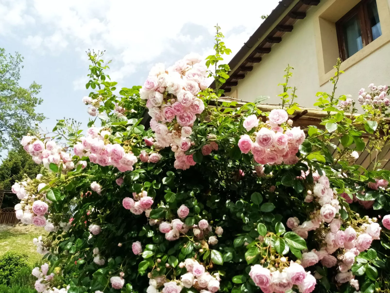 Villa im Grünen Civico 2 in Uzzano-Buiten