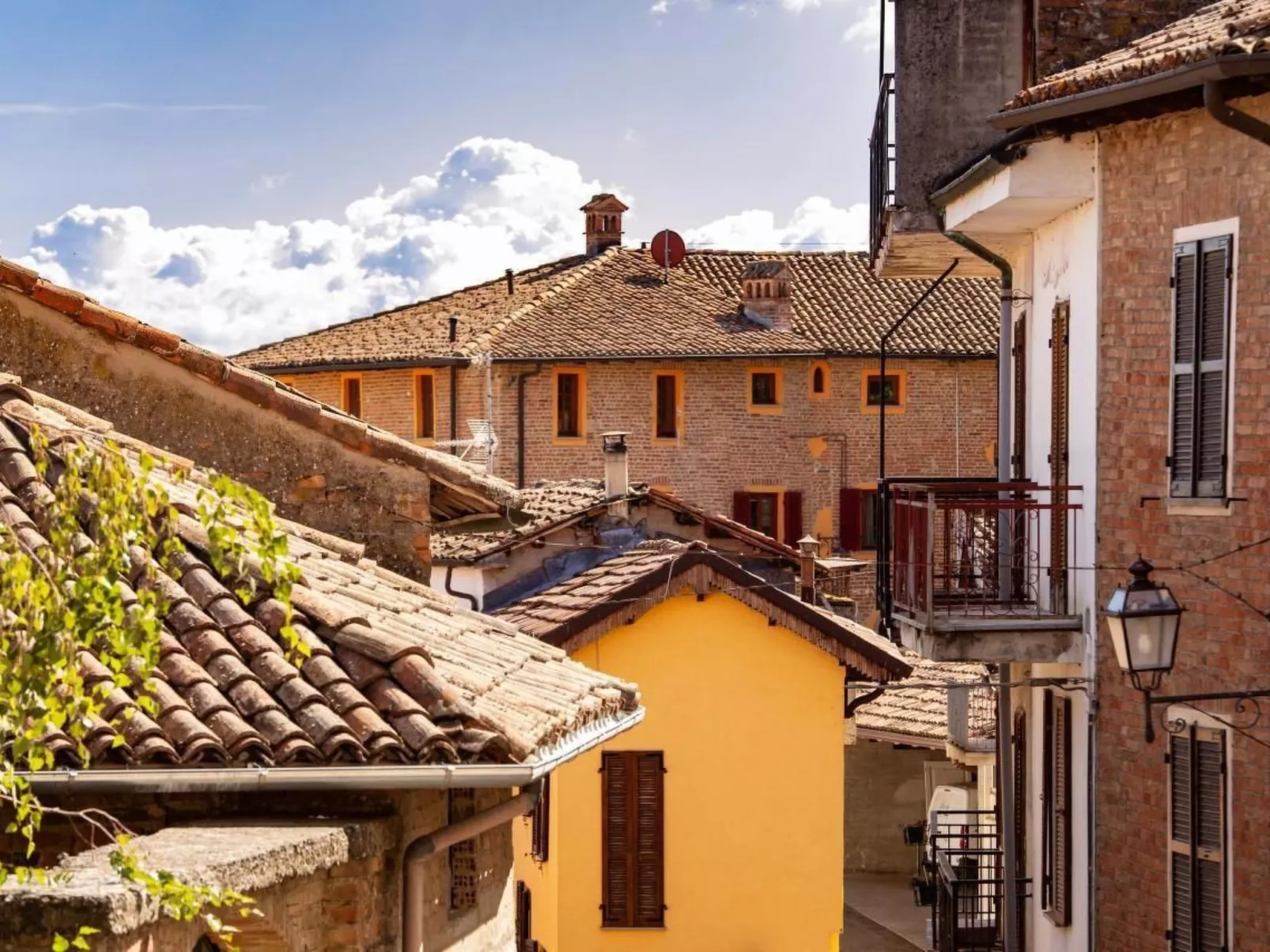 Villa Pesce,Dolcetto-Buiten