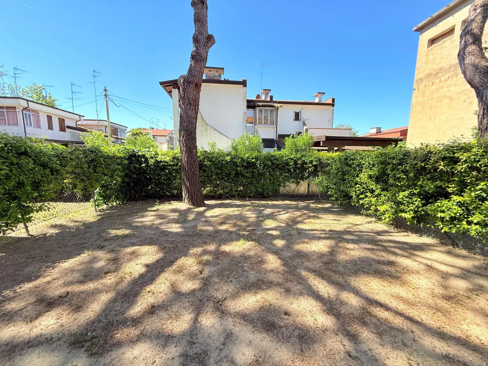 PINO 2-Image-tags.info