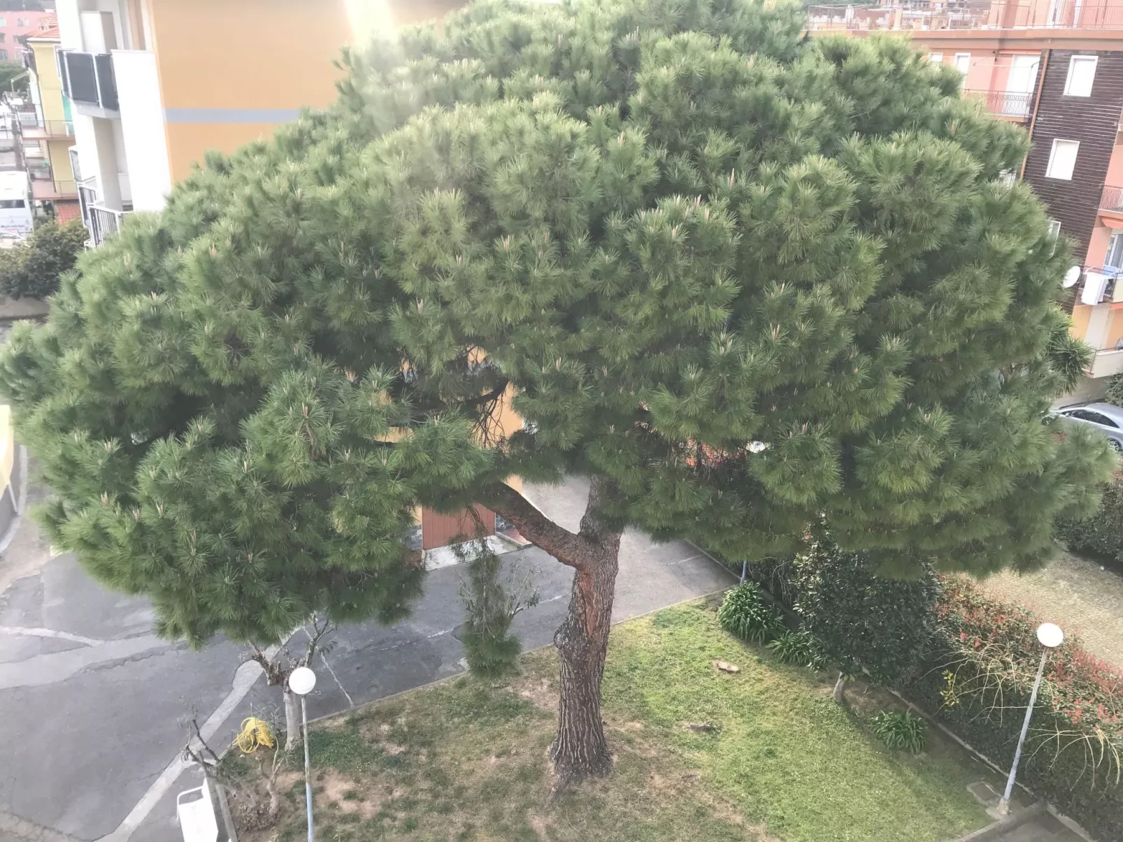 'White' mit Balkon-Buiten