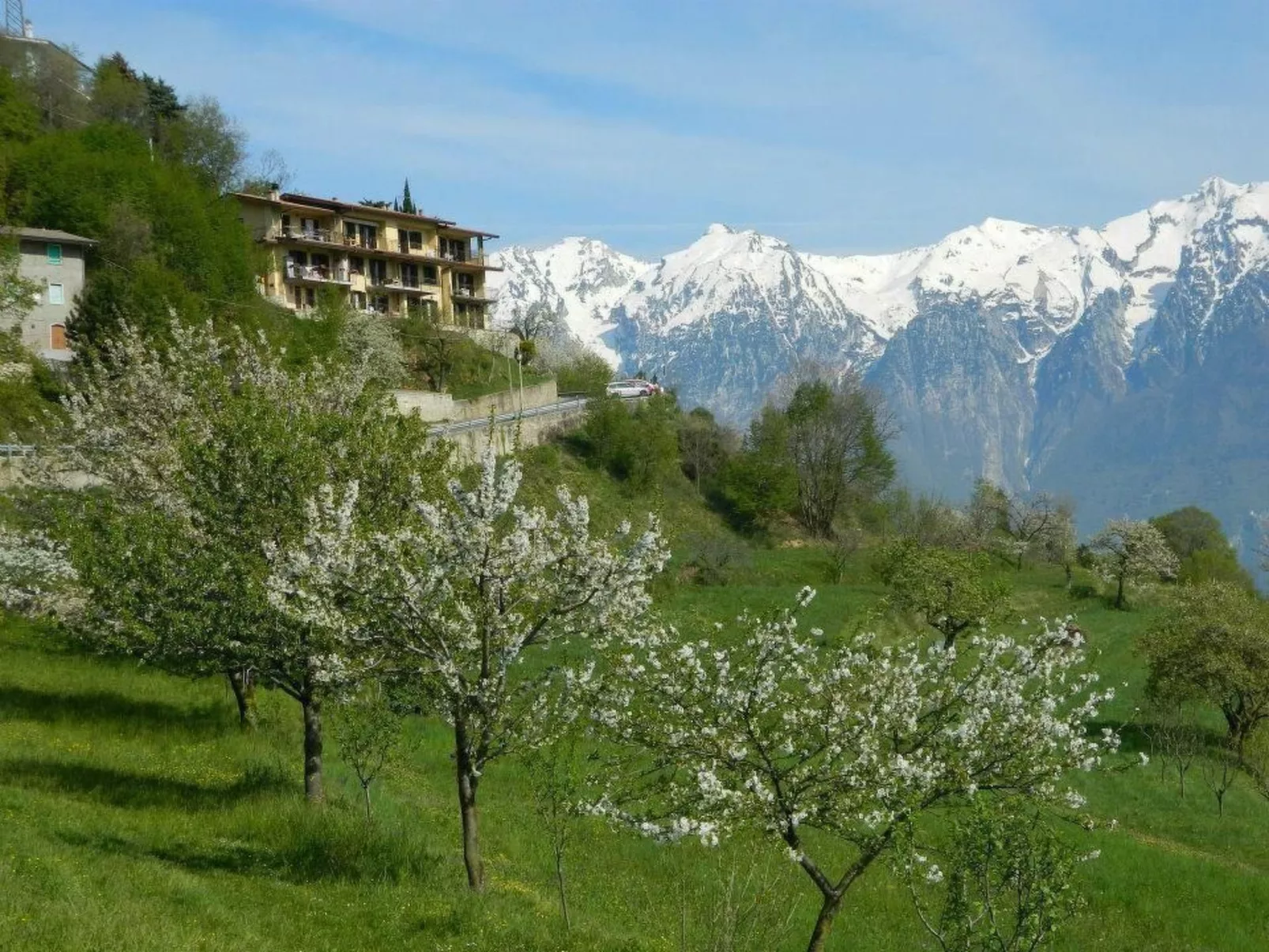 Wohnung 'Stella del Garda'-Buiten