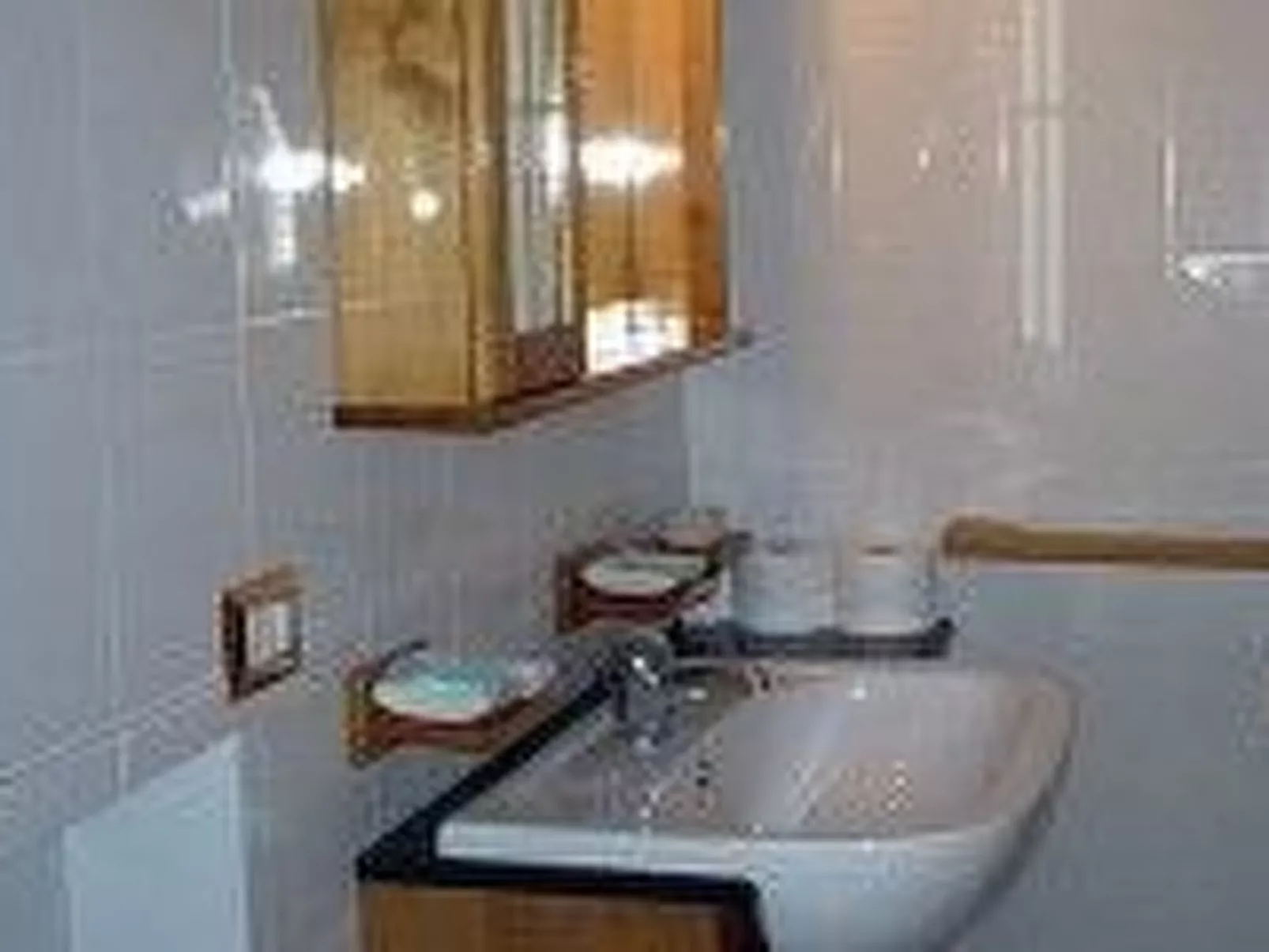 Haubentaucher-Binnen