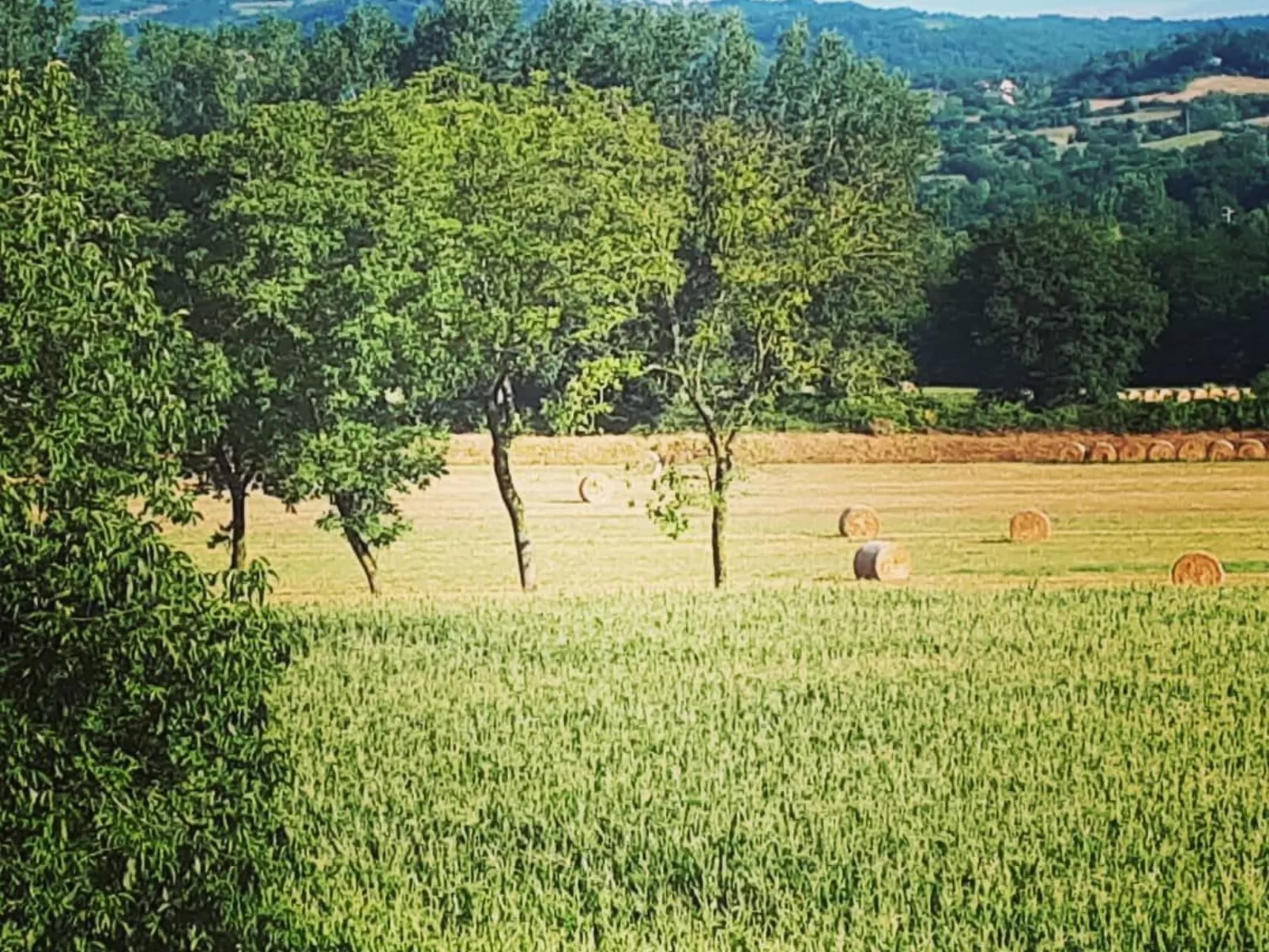 Landgut "Il Molino" mit Terrasse und Garten-Image-tags.info