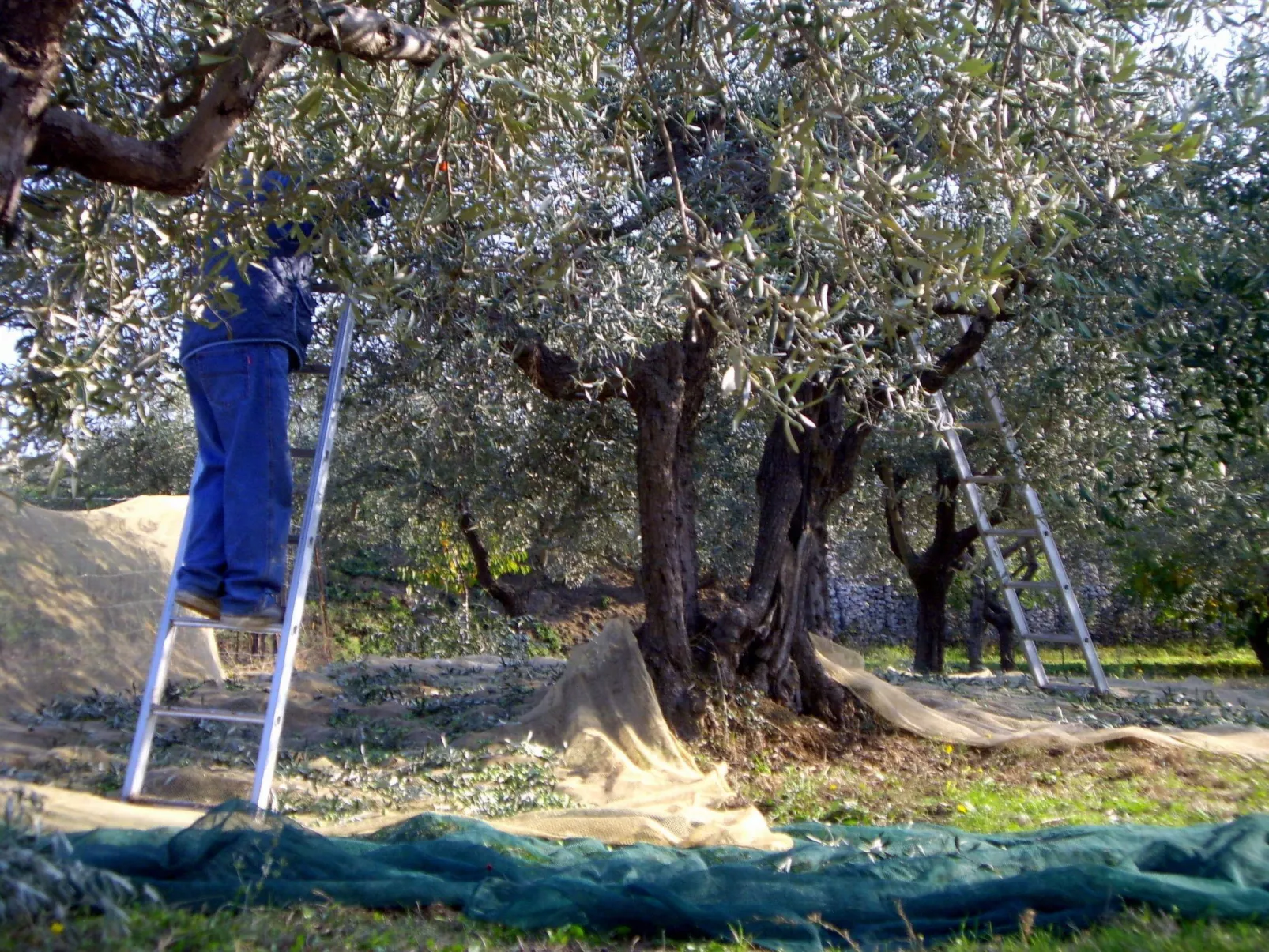 Anwesen mit Schwimmbad-Buiten