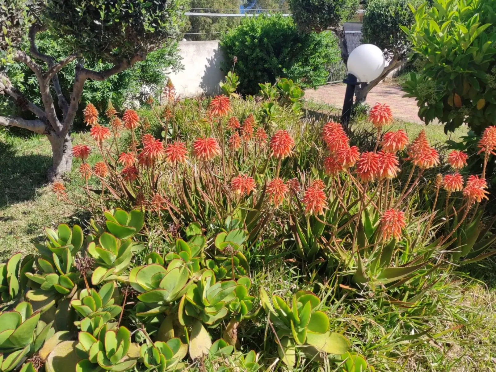 Casale Mare Monte-Image-tags.info