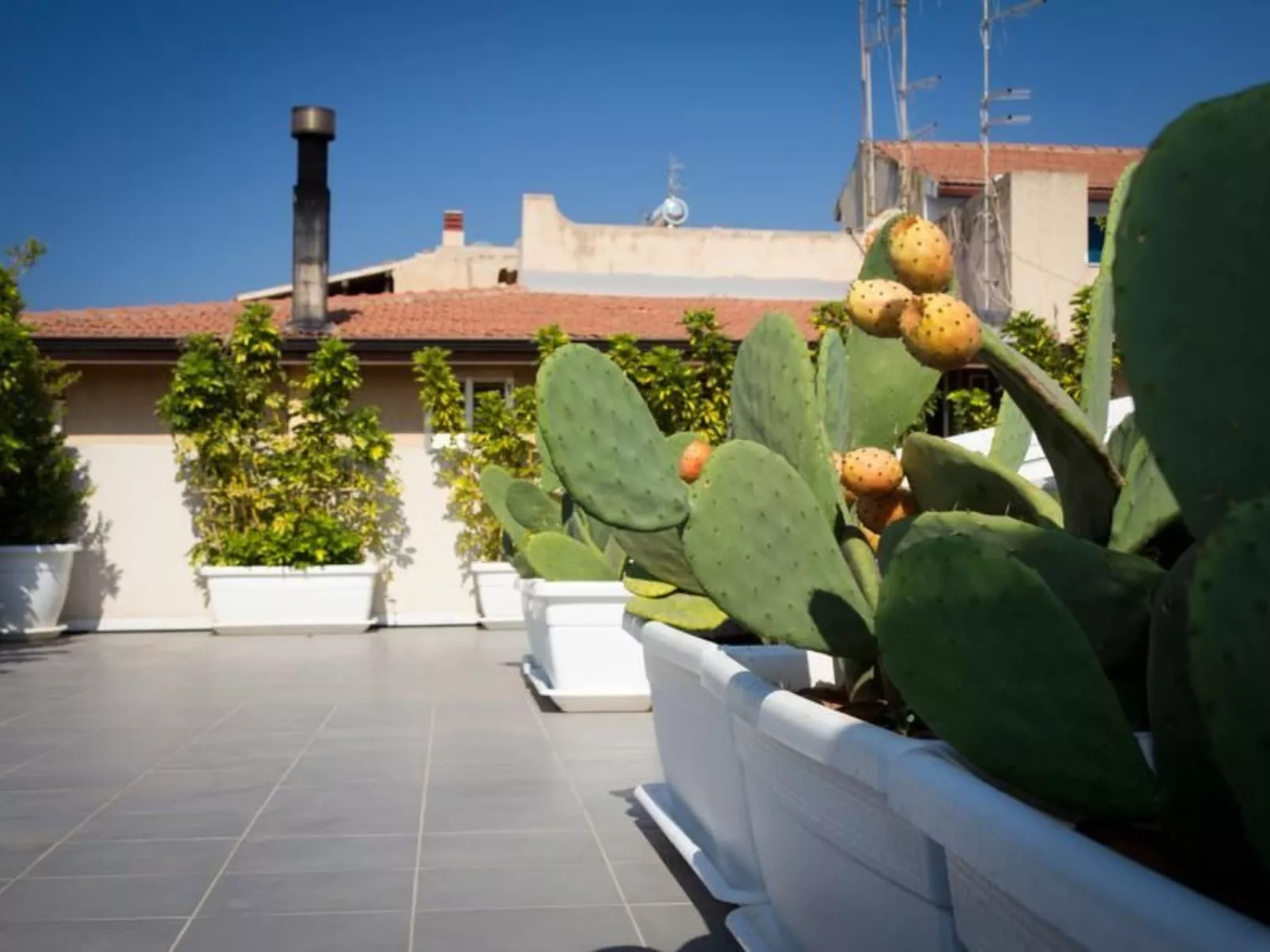 Gemütliche Wohnung für 4 Personen-Image-tags.info