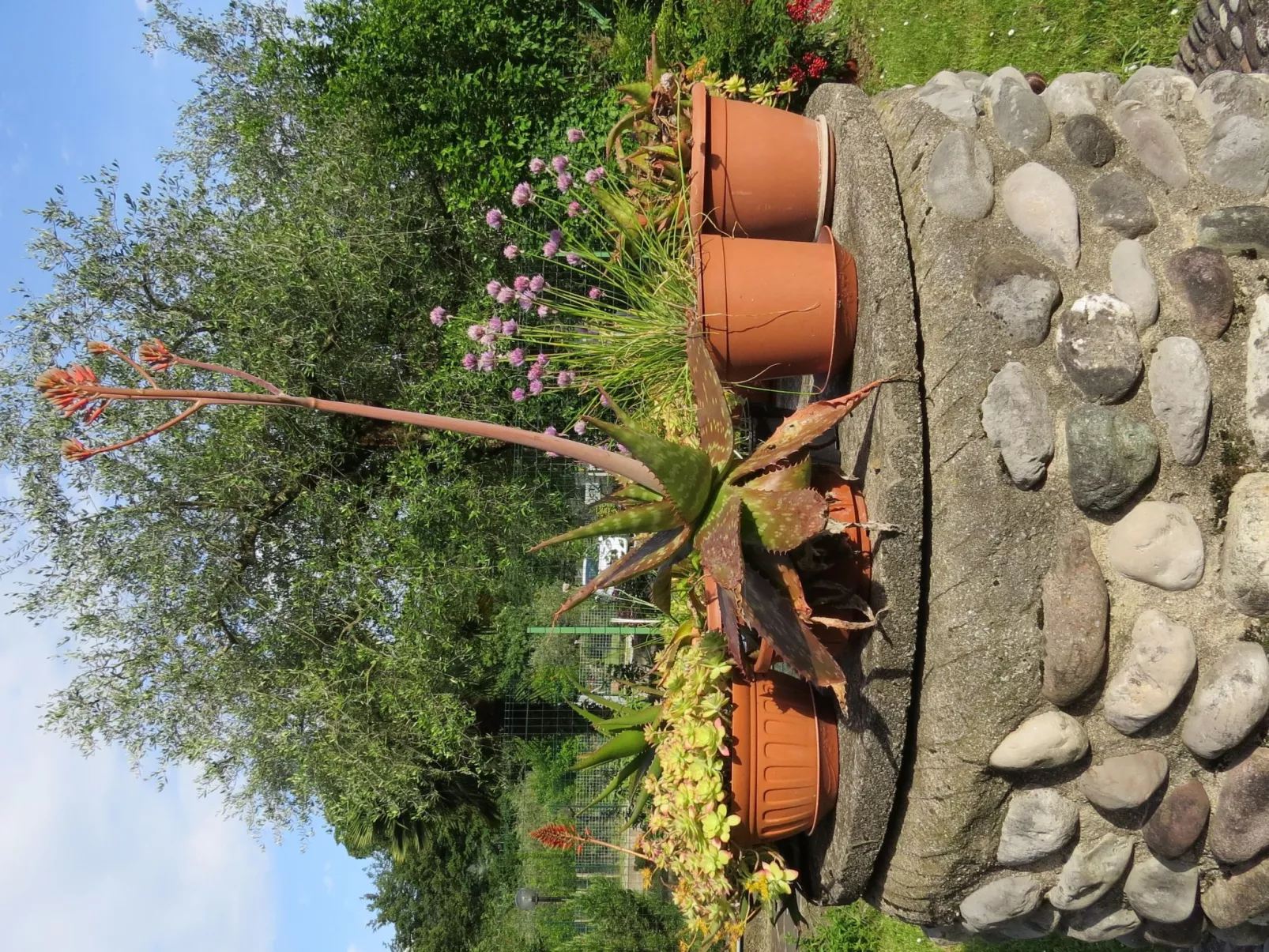 Villa im Grünen in Riva del Garda mit Garten-Buiten