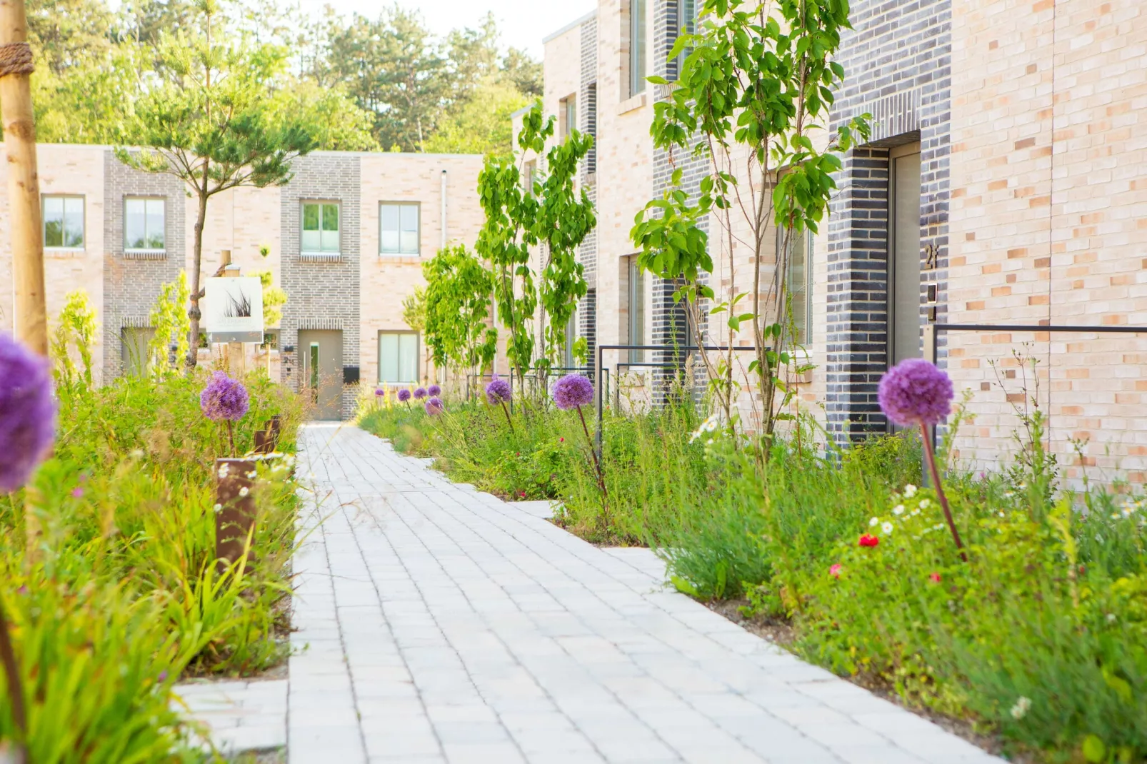 AALERNHÜS Residenzen - APX1-Buitenkant zomer