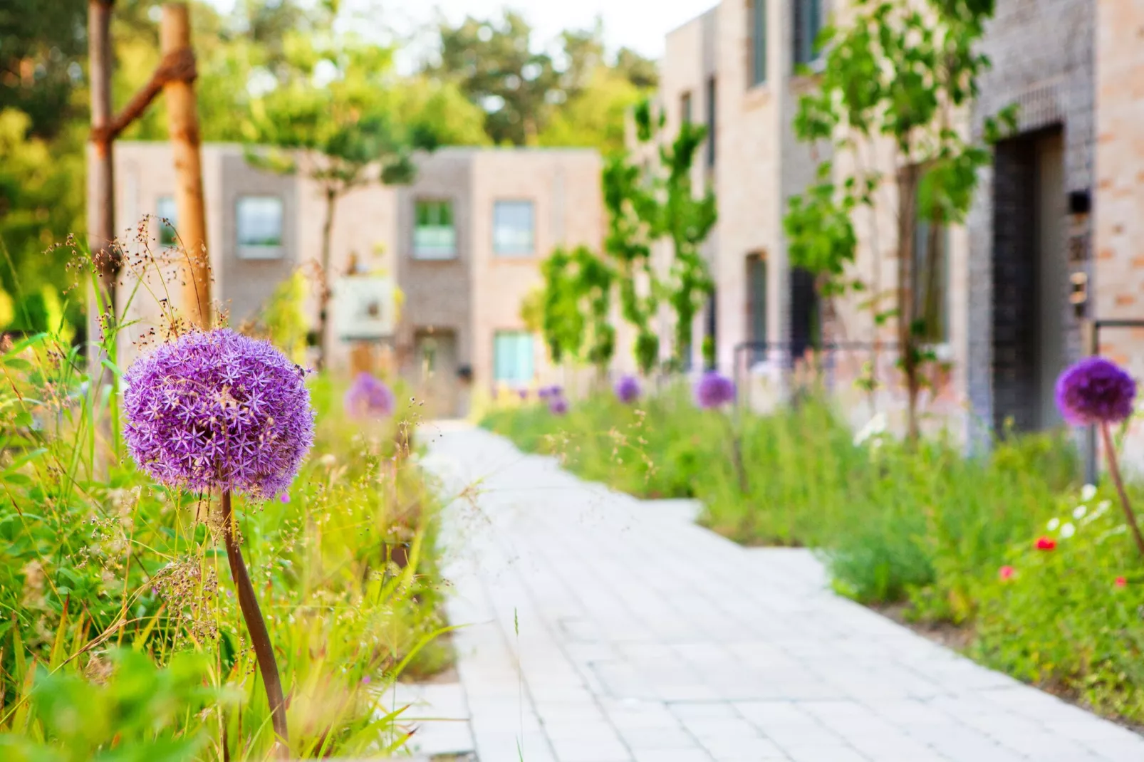 AALERNHÜS Residenzen - APX1-Buitenkant zomer