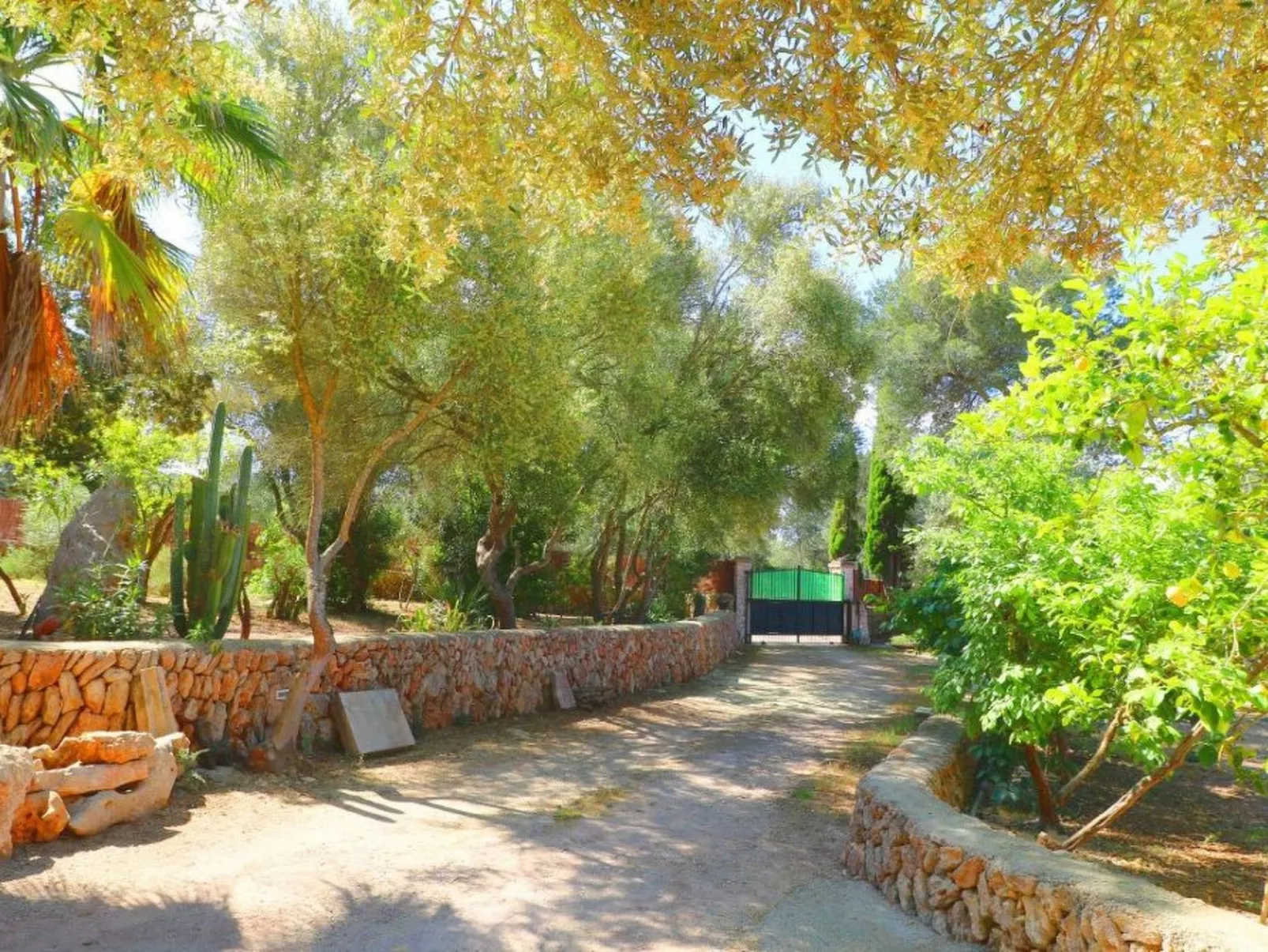 Finca Alfabia Campos-Image-tags.info