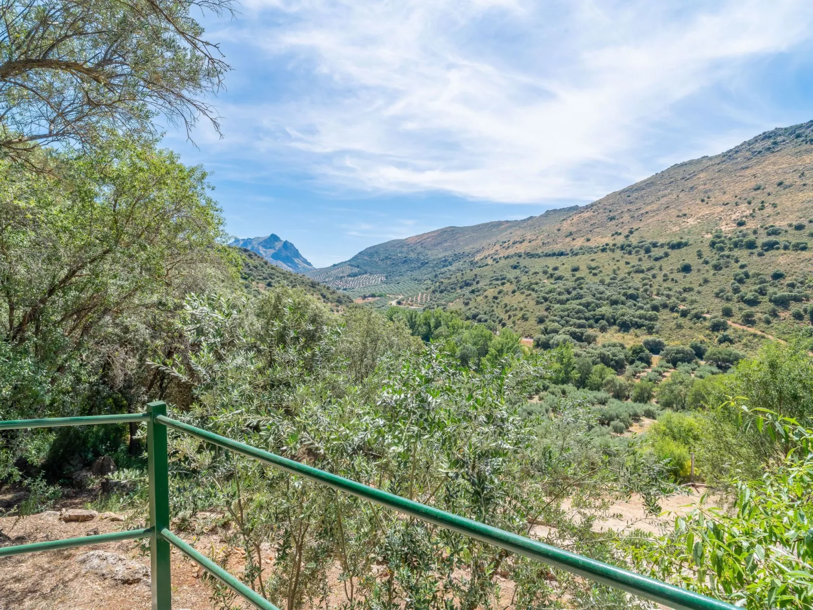 Cerro de la Cruz,charmantes Bauernhaus mit bester Aussicht,im Zentrum Andalusie-Buiten