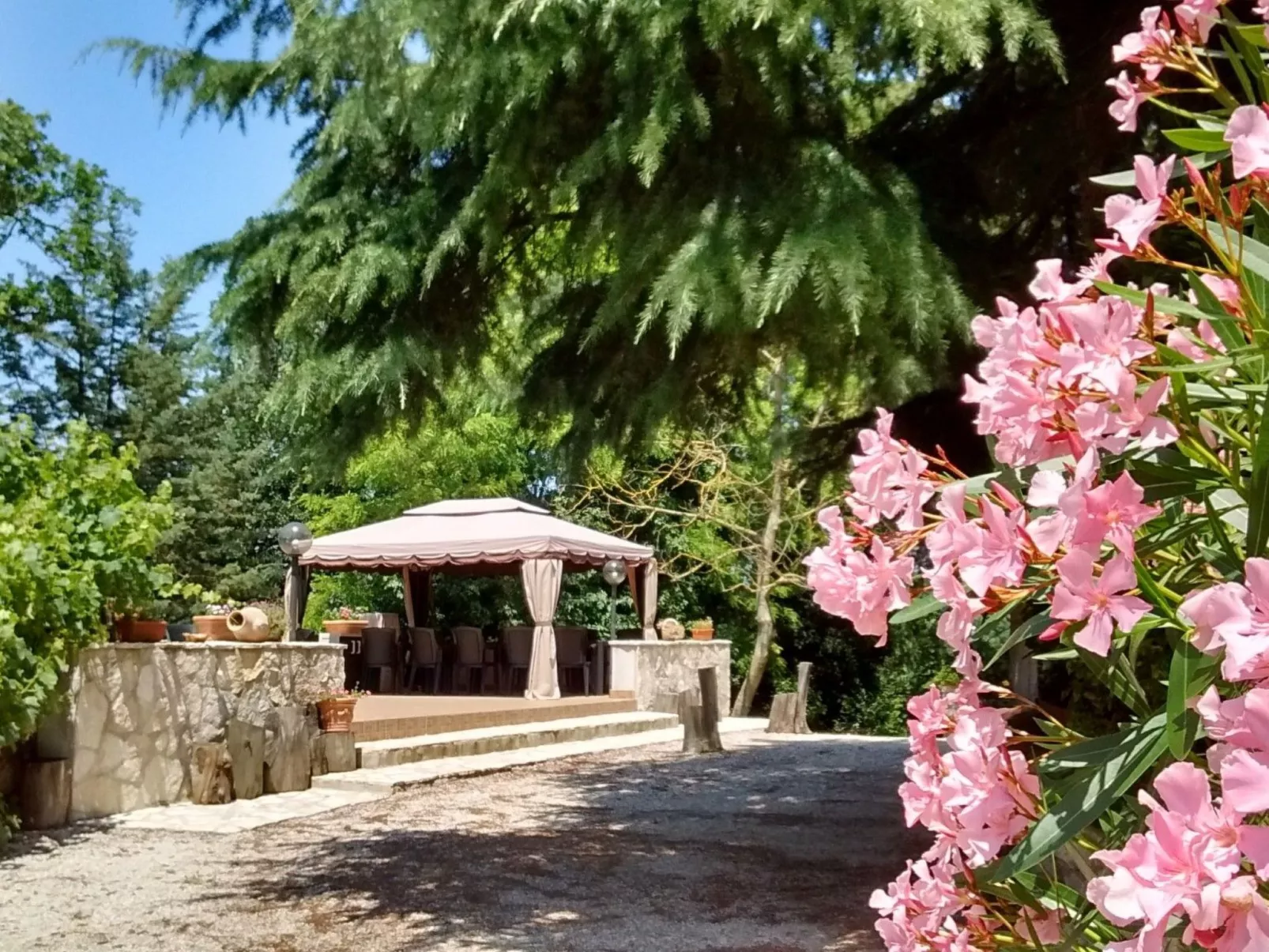 Wohnung Bosco-Buiten