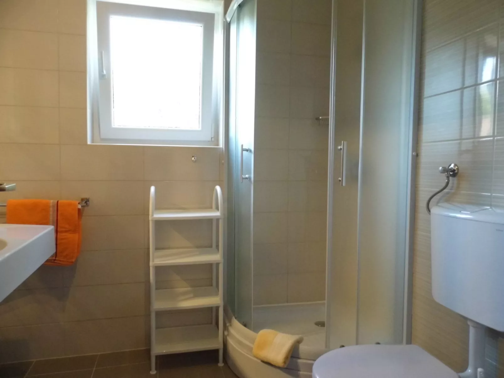 Stanojevic 2-Image-tags.info