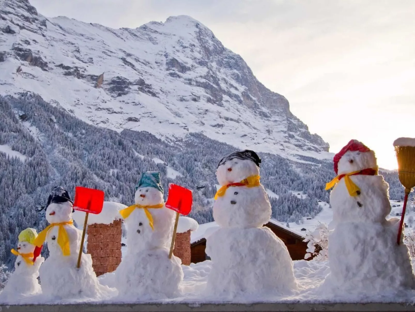 Heidi-Image-tags.info