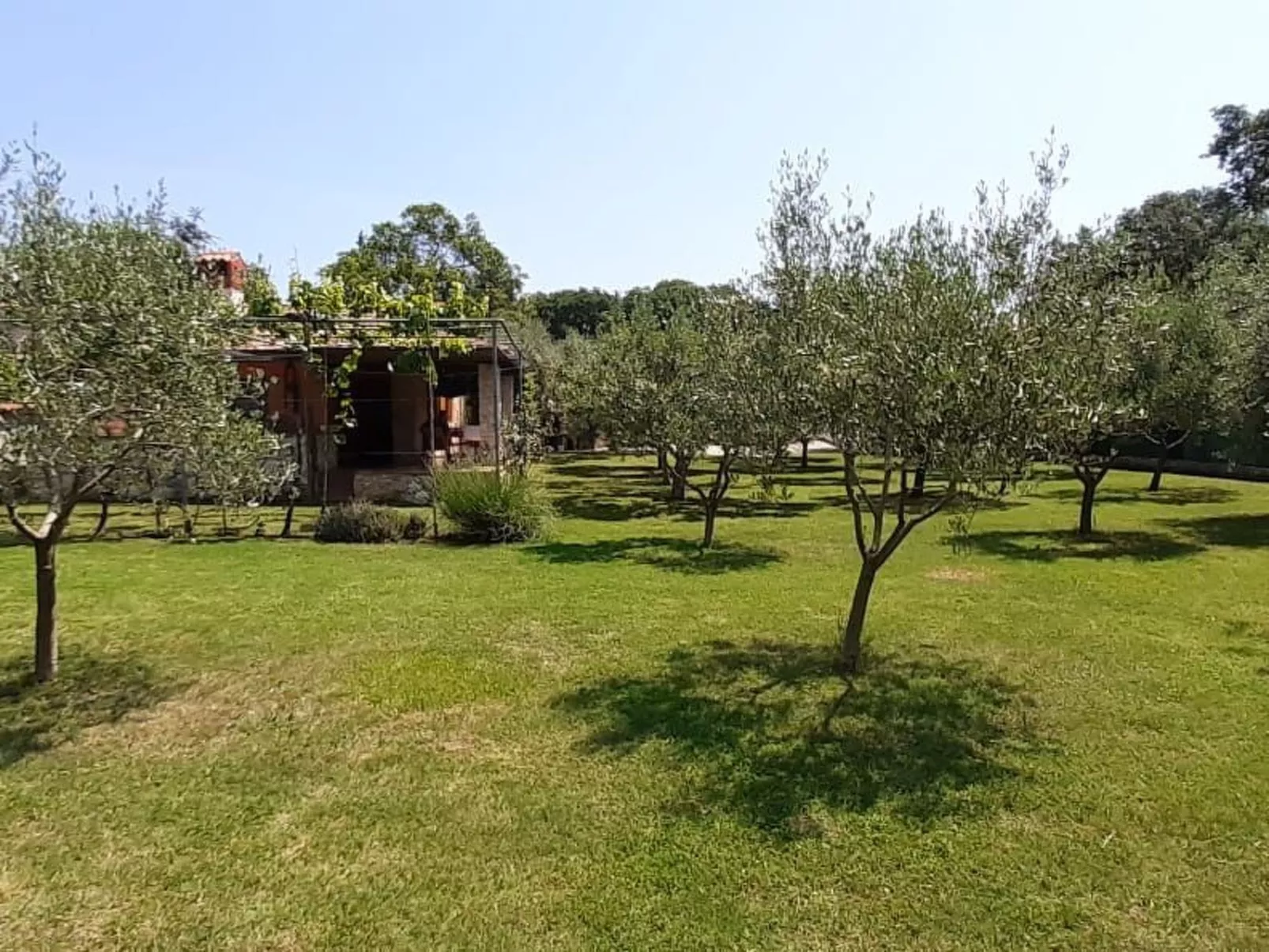 Mit schönem Garten und Sonnenterrasse-Buiten