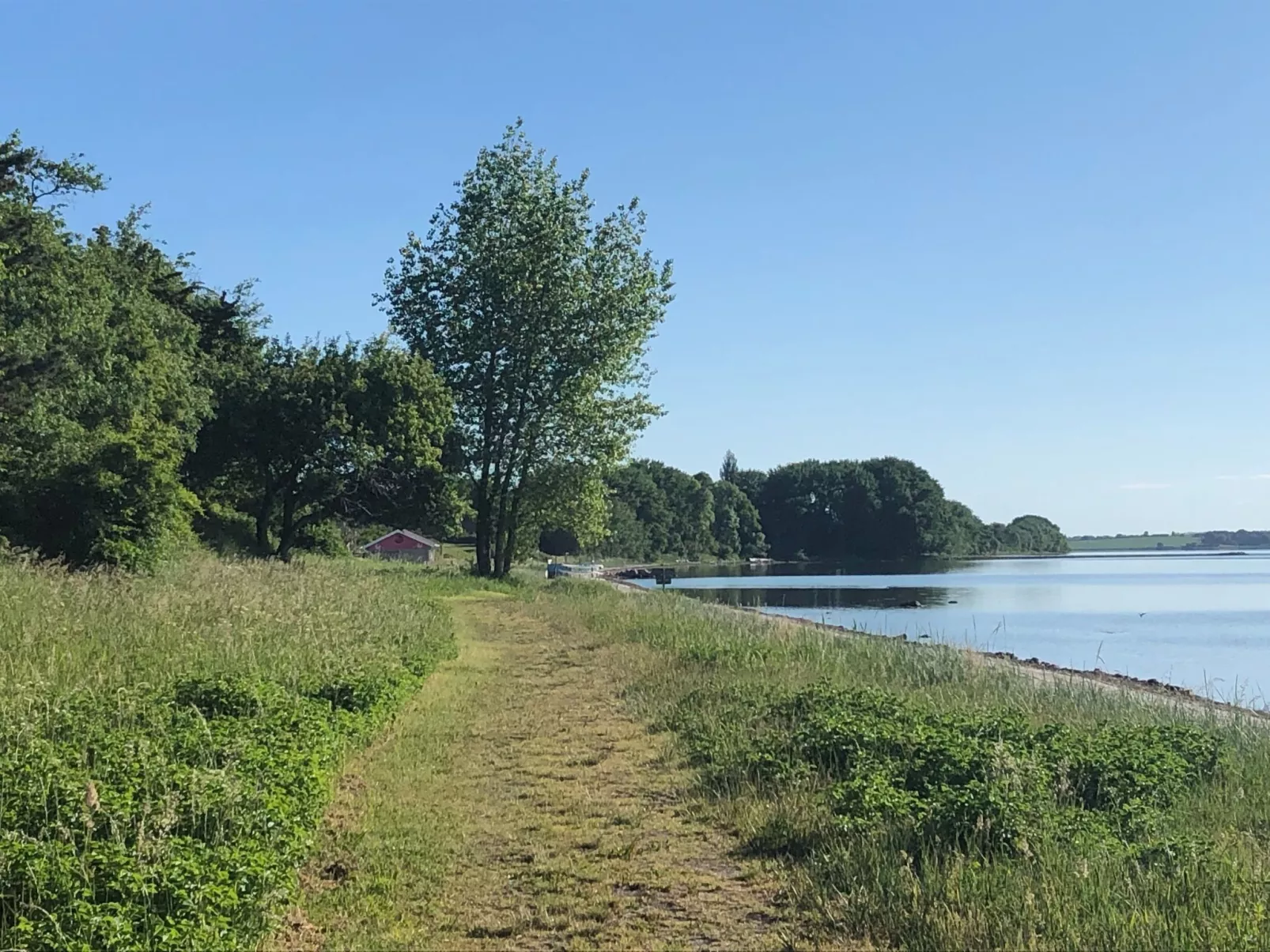 Ferienwohnung-Buiten