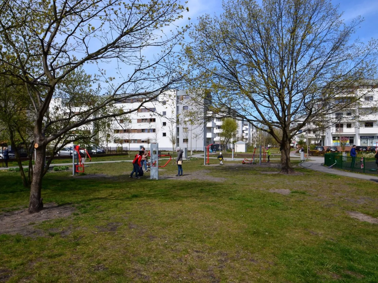 Platan 2-Image-tags.info