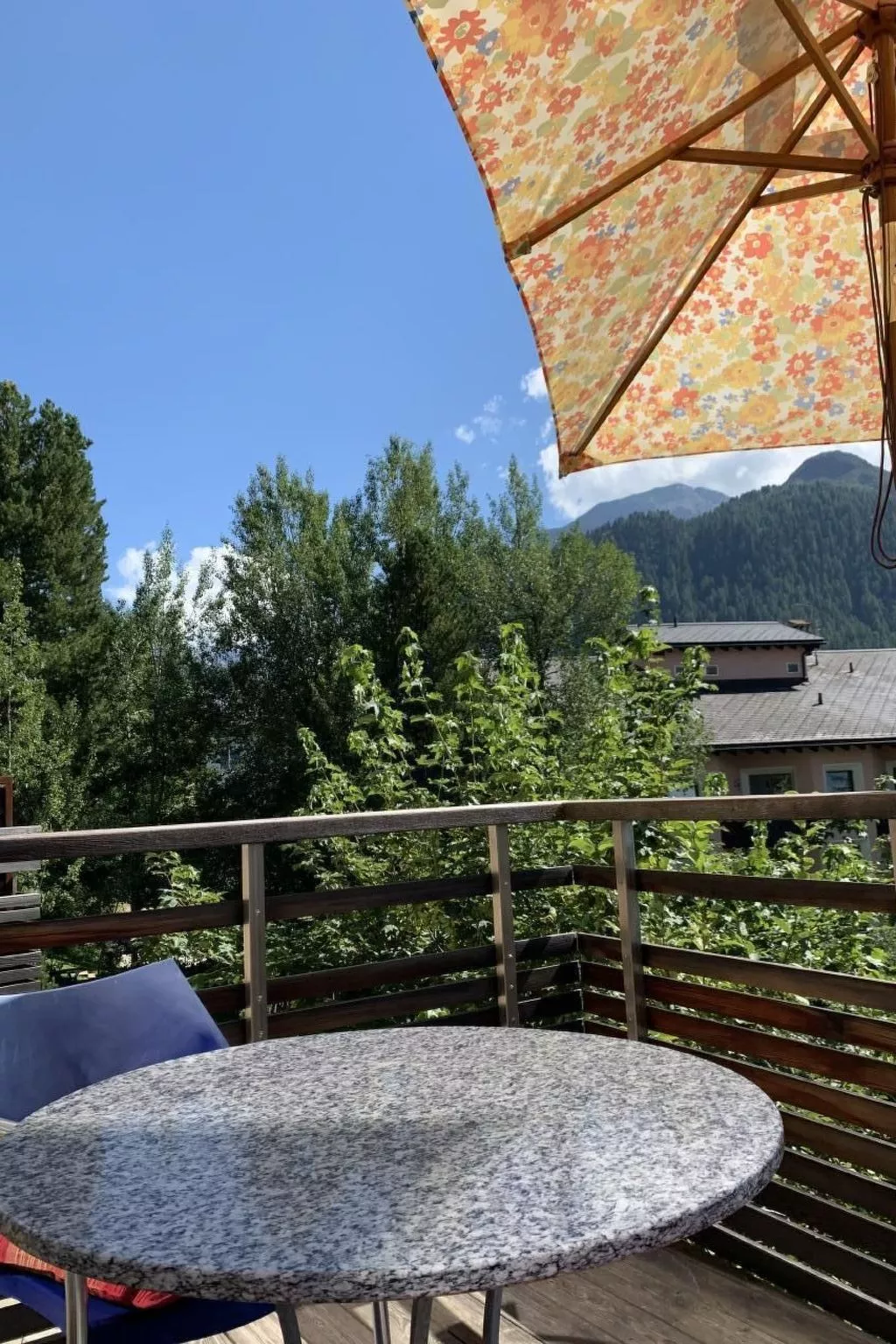 MFH Terr‘in tschêl-Image-tags.info