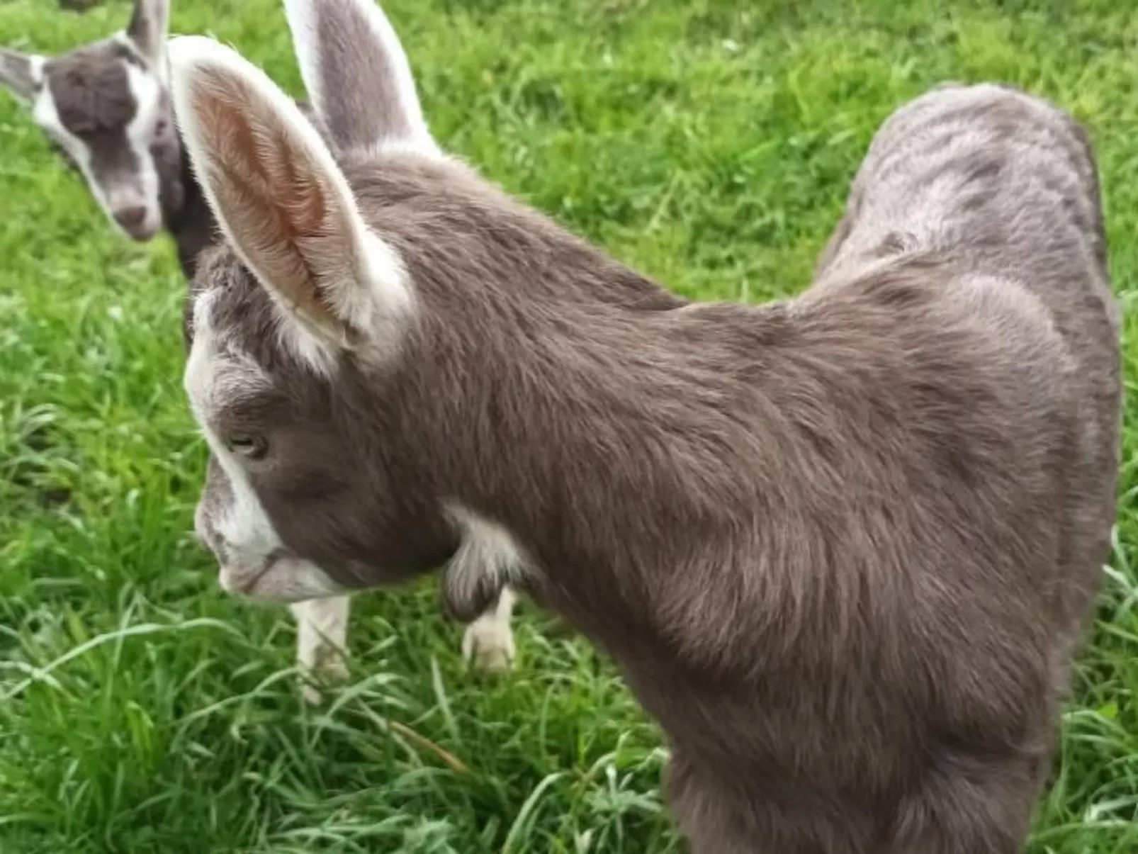 Perfekt-Image-tags.info