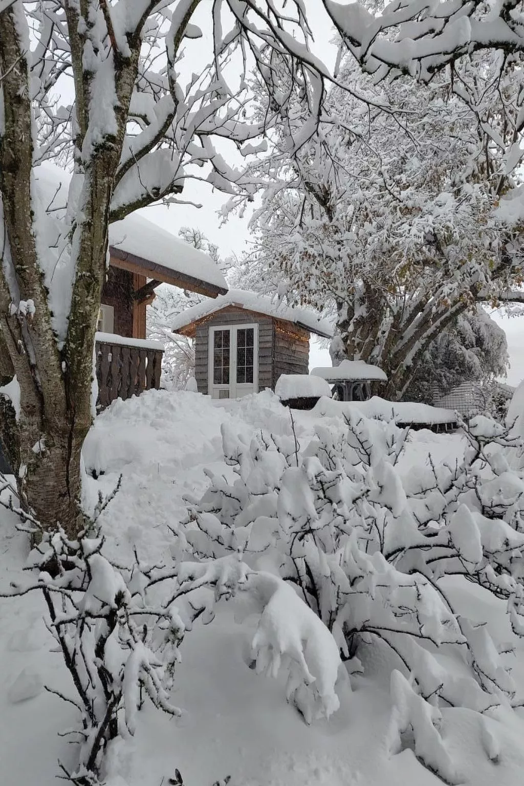 «Hüsli»-Image-tags.info