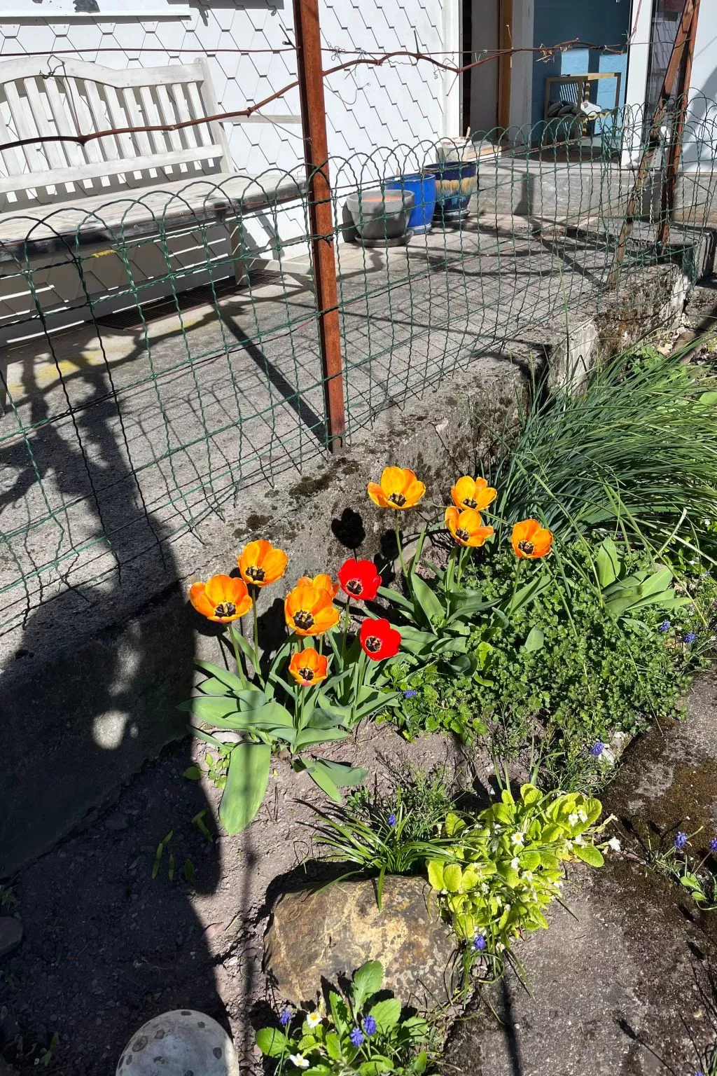 Sunnähöggli-Buiten