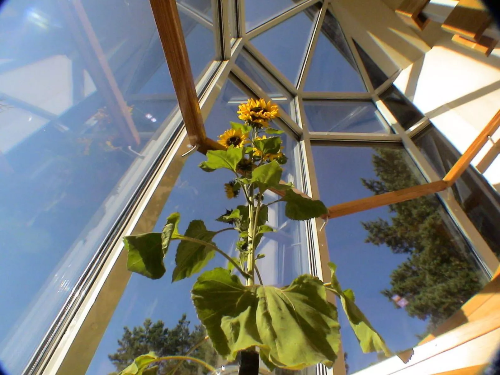 Wellness Ferienhaus Branzez mit Innenpool, Sauna.. - Binnen