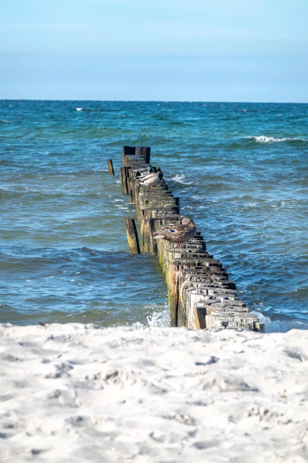 "Kranich"-Image-tags.info