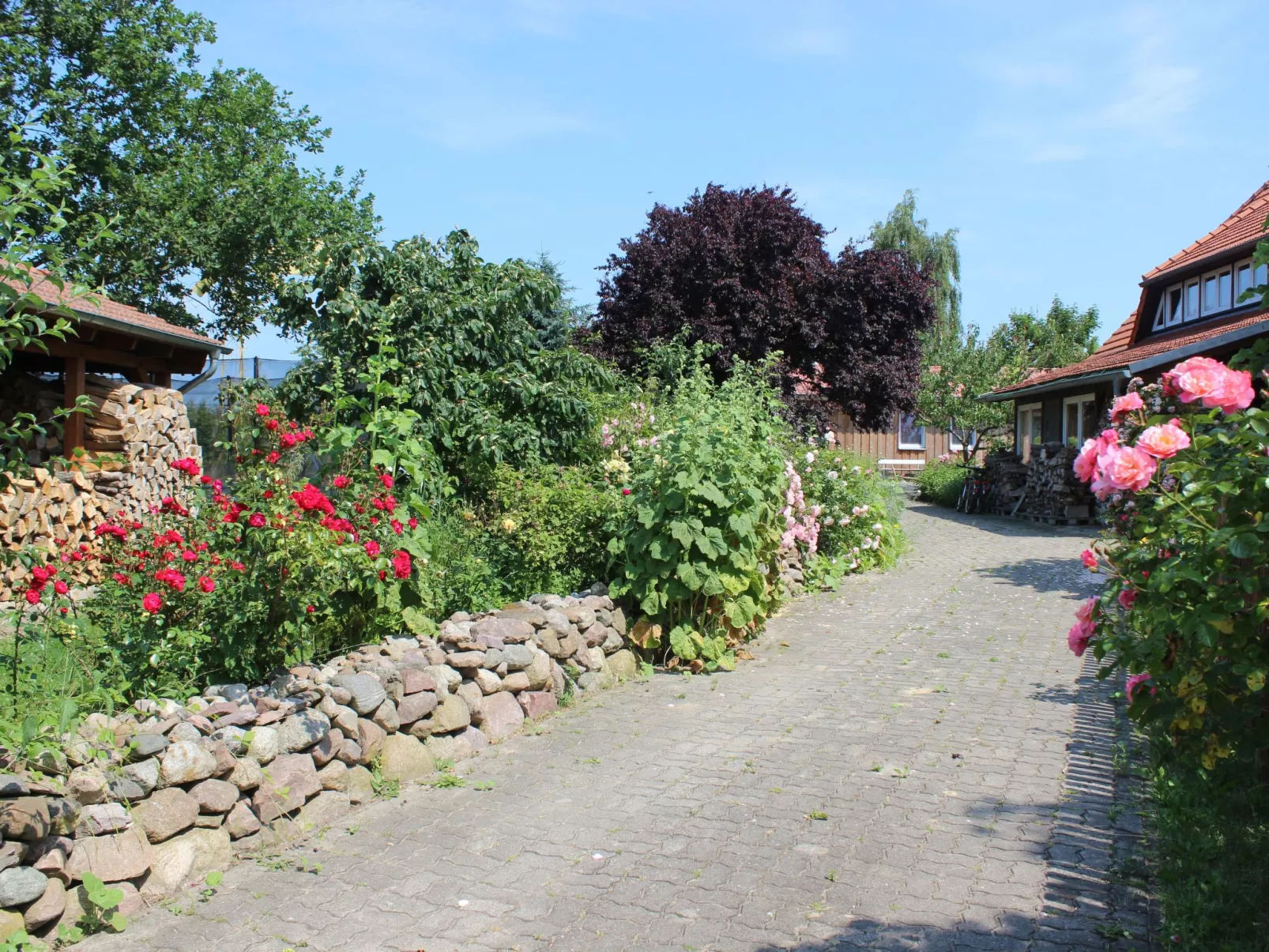 Janet Ratschkowski-Buiten