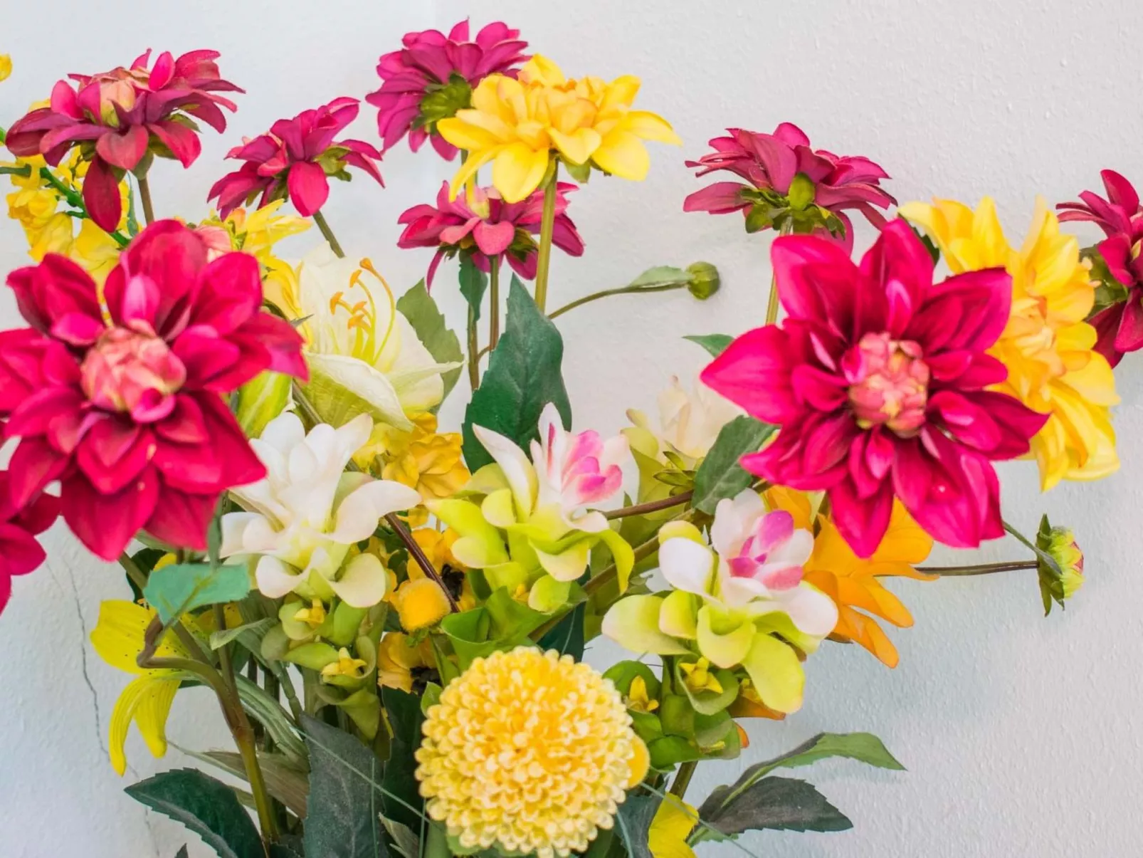 Wohnung mit botanischem Garten und Meerblick - Binnen