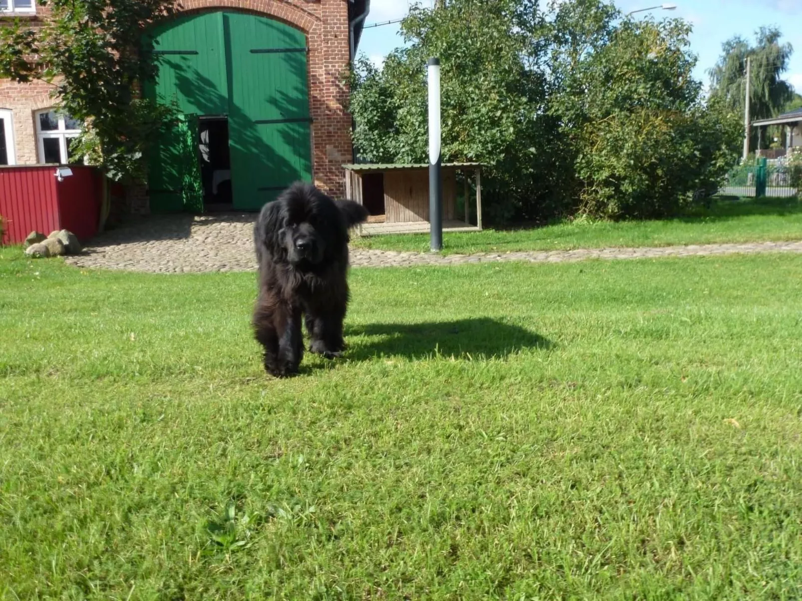 Hist. Schafscheune-Buiten