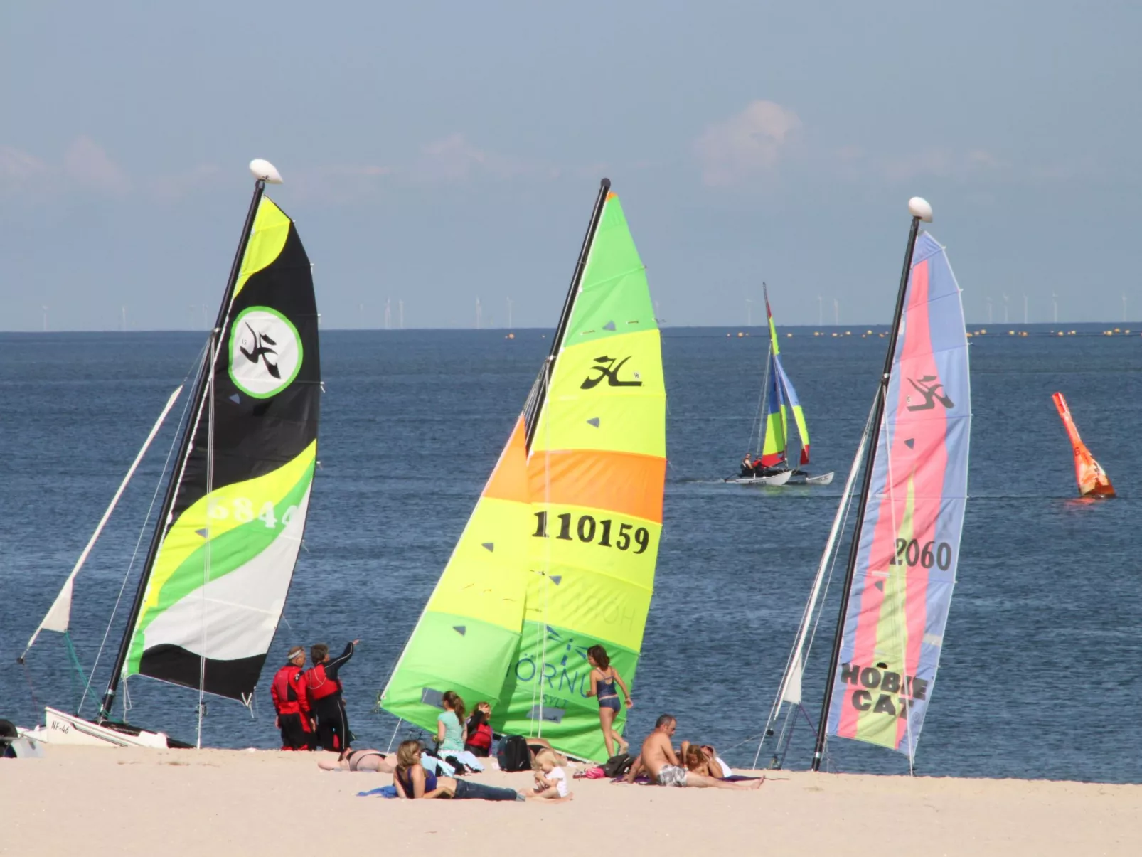 Strandfloh in Hörnum-Buiten